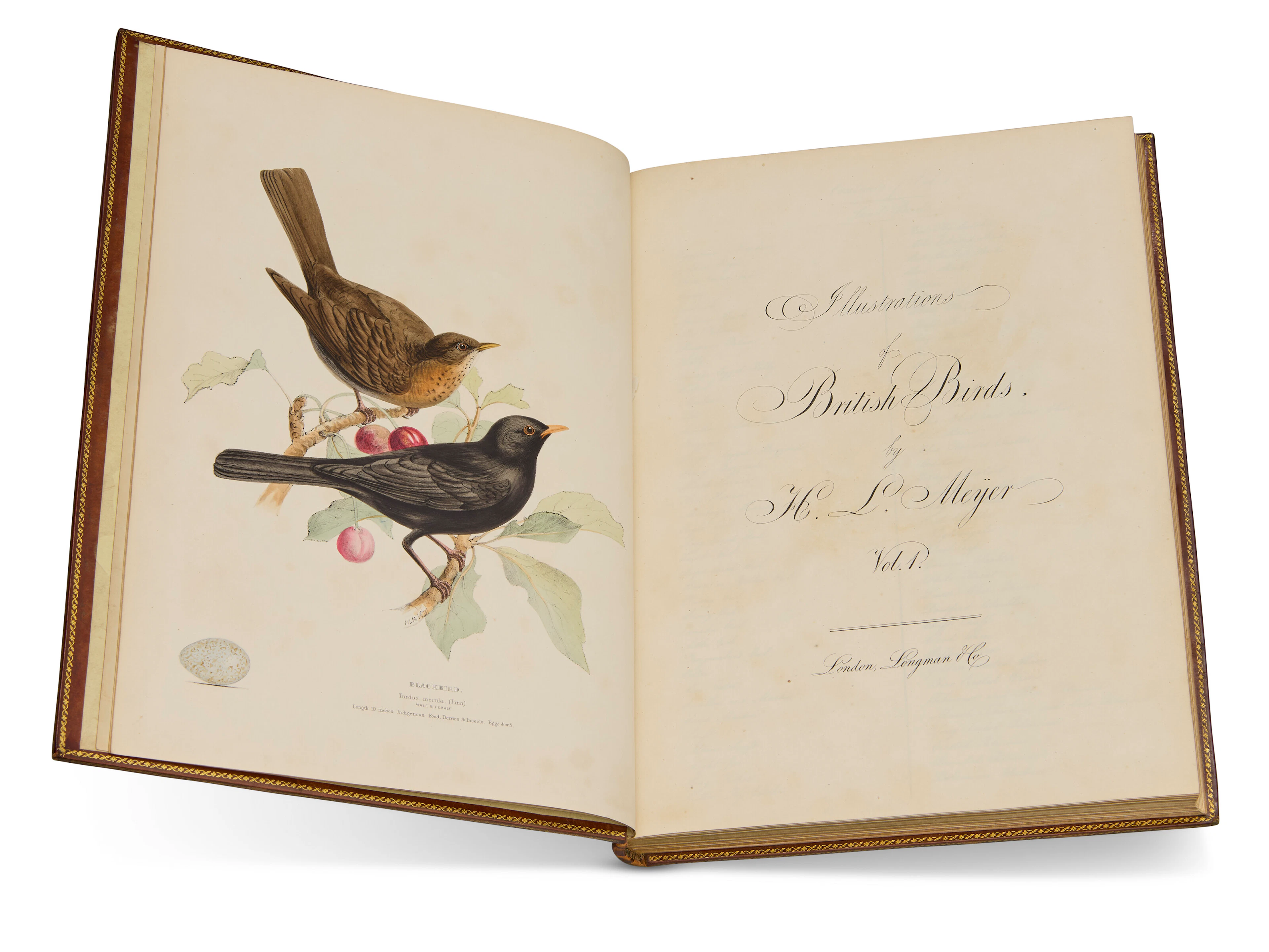 MEYER, Henry Leonard (1797-1864)