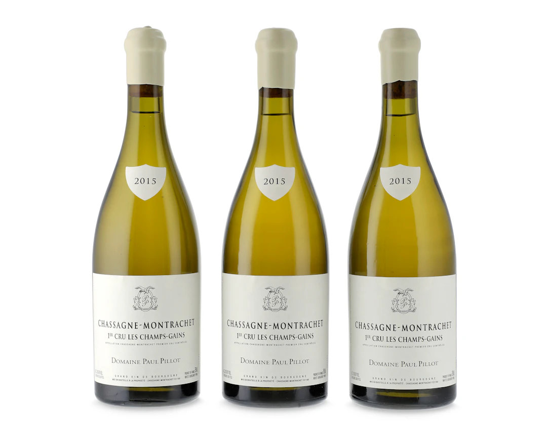 Mixed Domaine Paul Pillot, Chassagne-Montrachet, Champs Gains & Caillerets