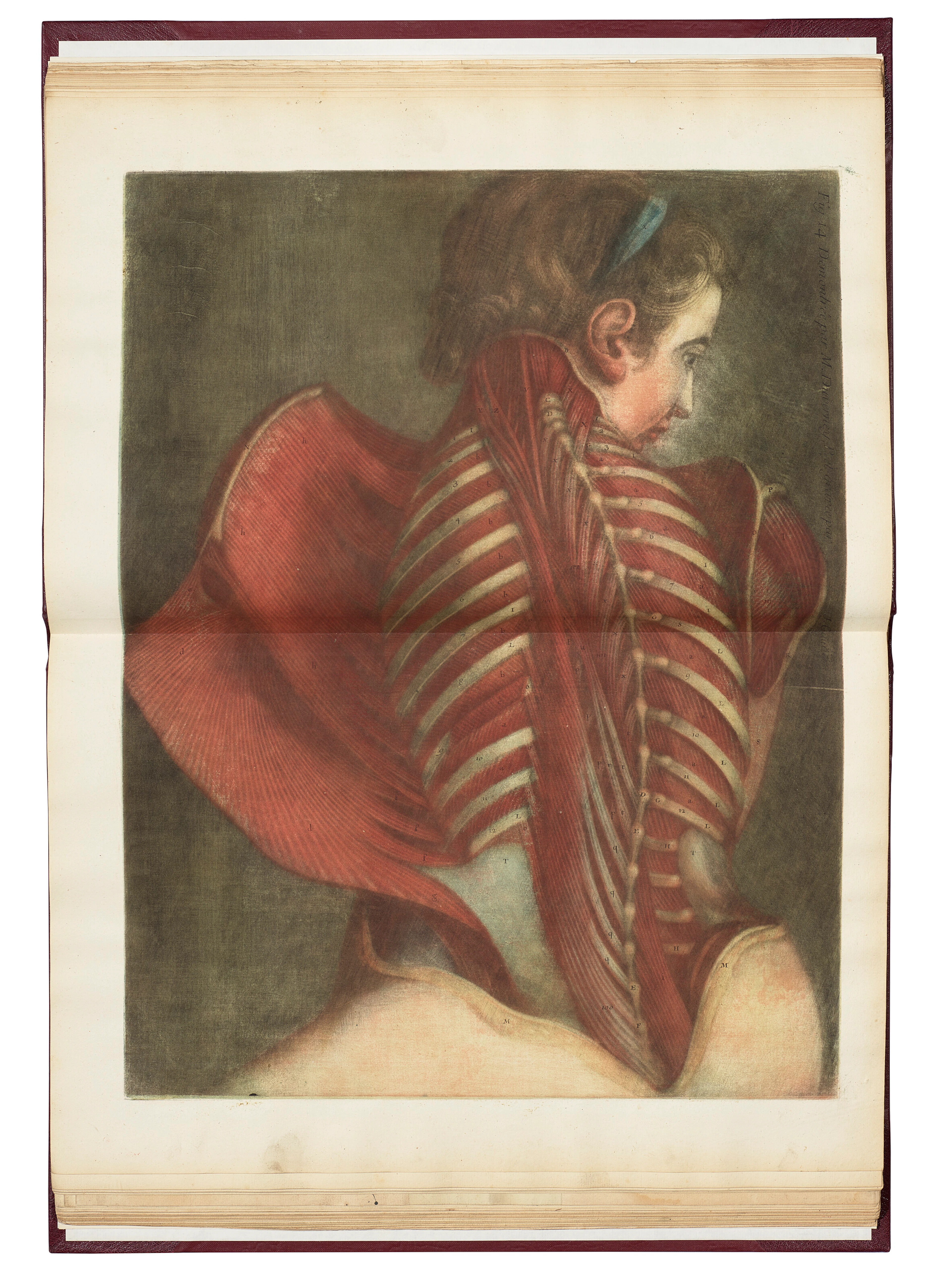 GAUTIER D'AGOTY, Jacques-Fabien (1717-1786)