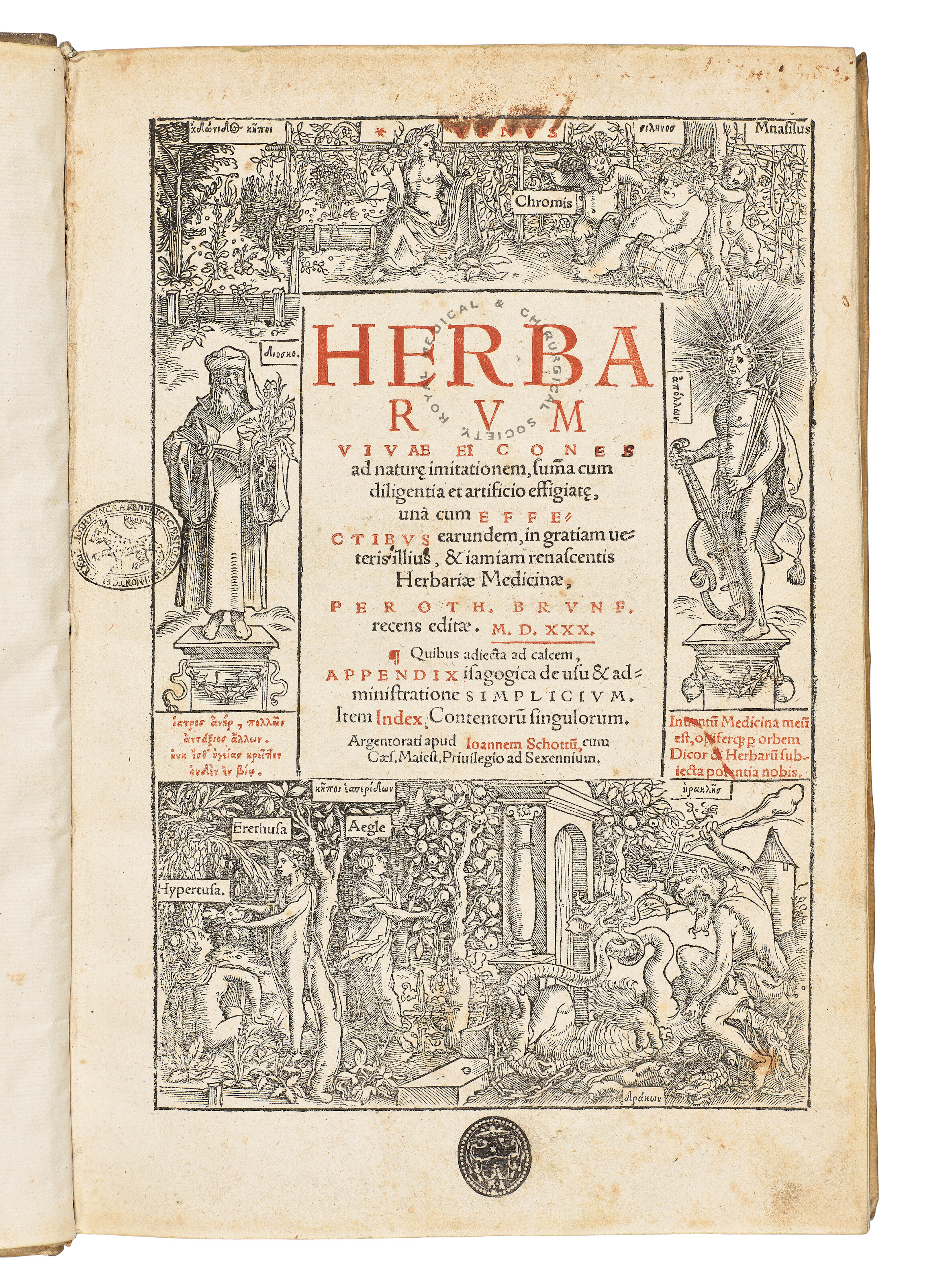 BRUNFELS, Otto (c. 1489-1534)