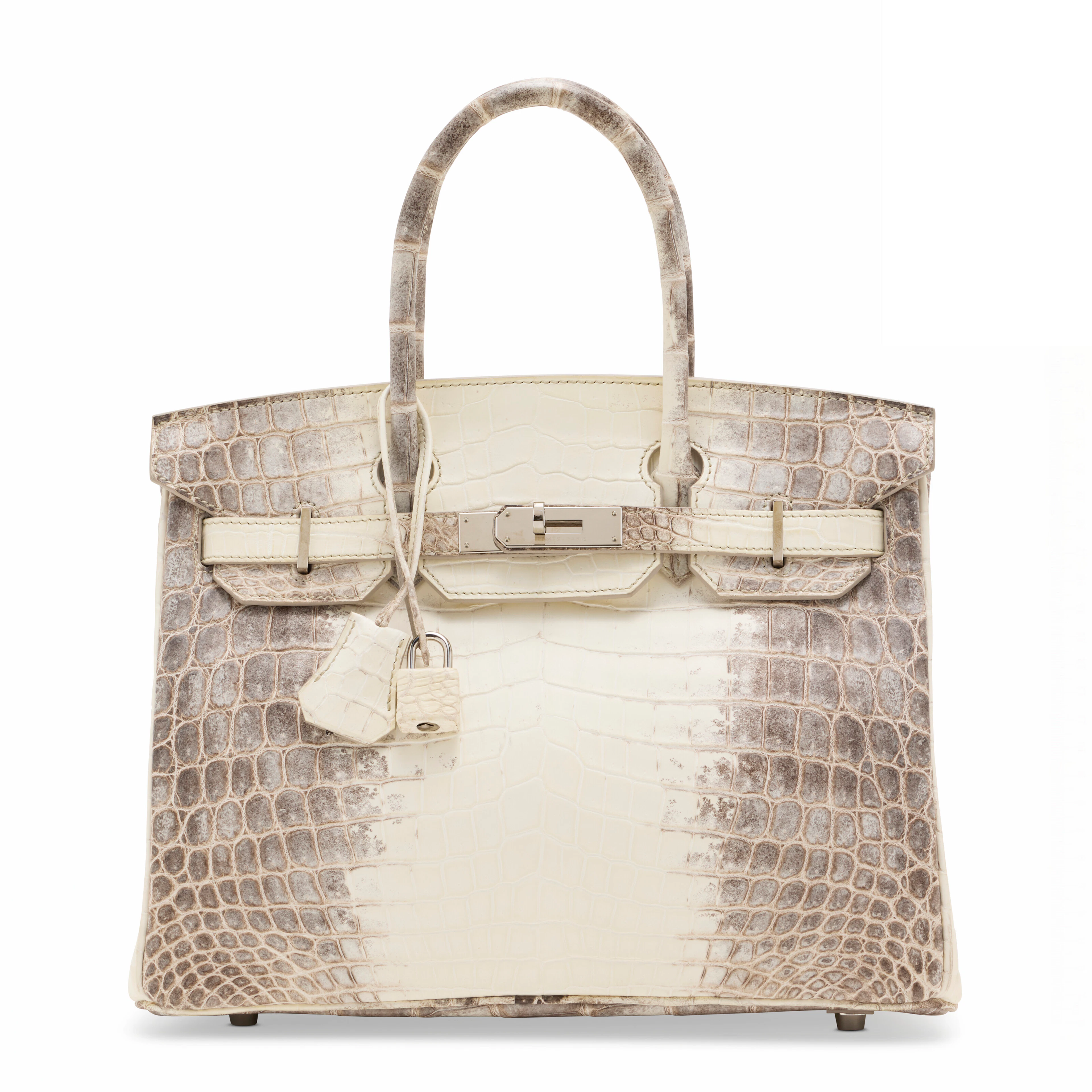 A Rare, Matte White Himalaya Niloticus Crocodile Birkin 30 with Palladium