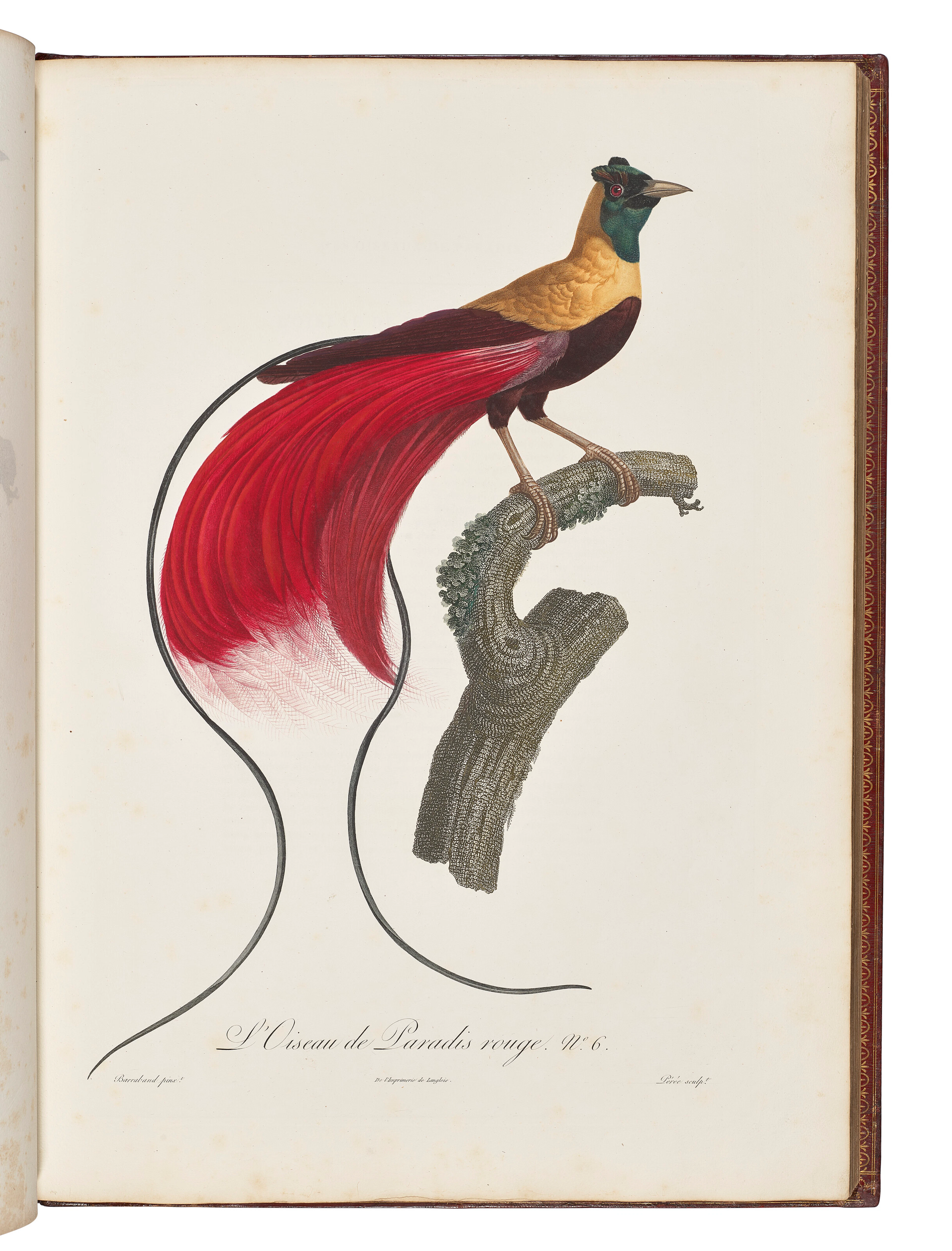 Levaillant, François (1753-1824)