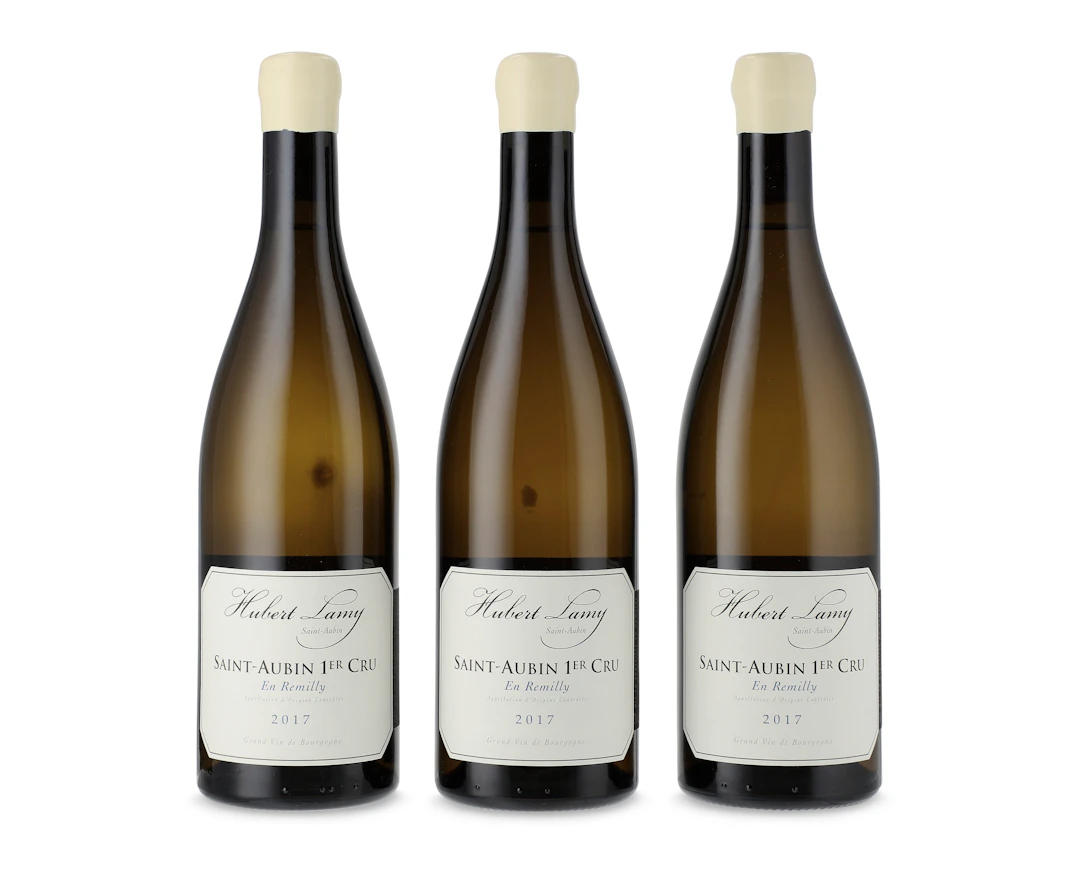 Hubert Lamy, Saint-Aubin, En Remilly Blanc 2017