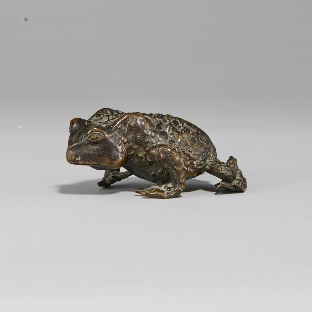 A Bronze Toad