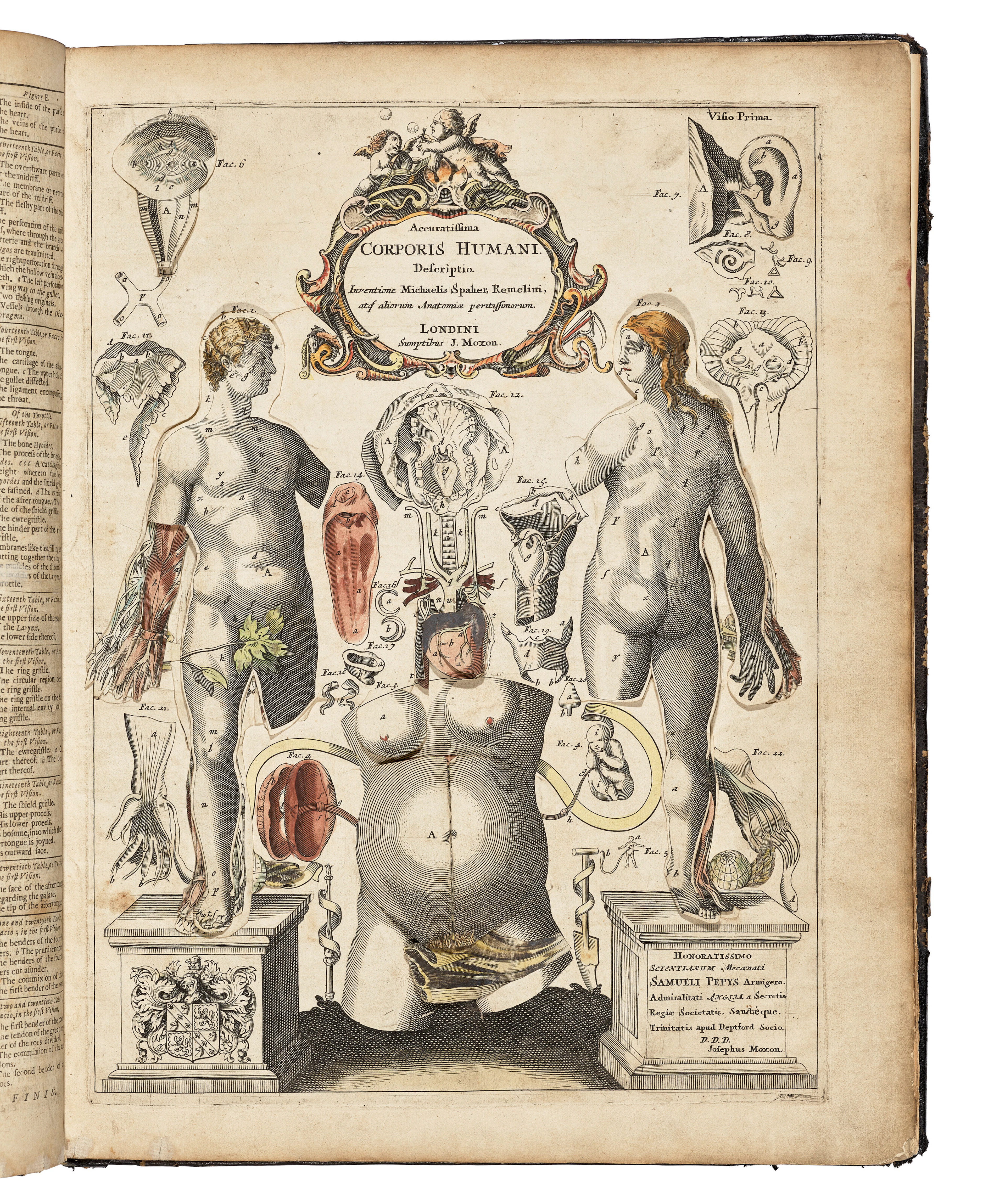 REMMELIN, Johann (1583-1632)