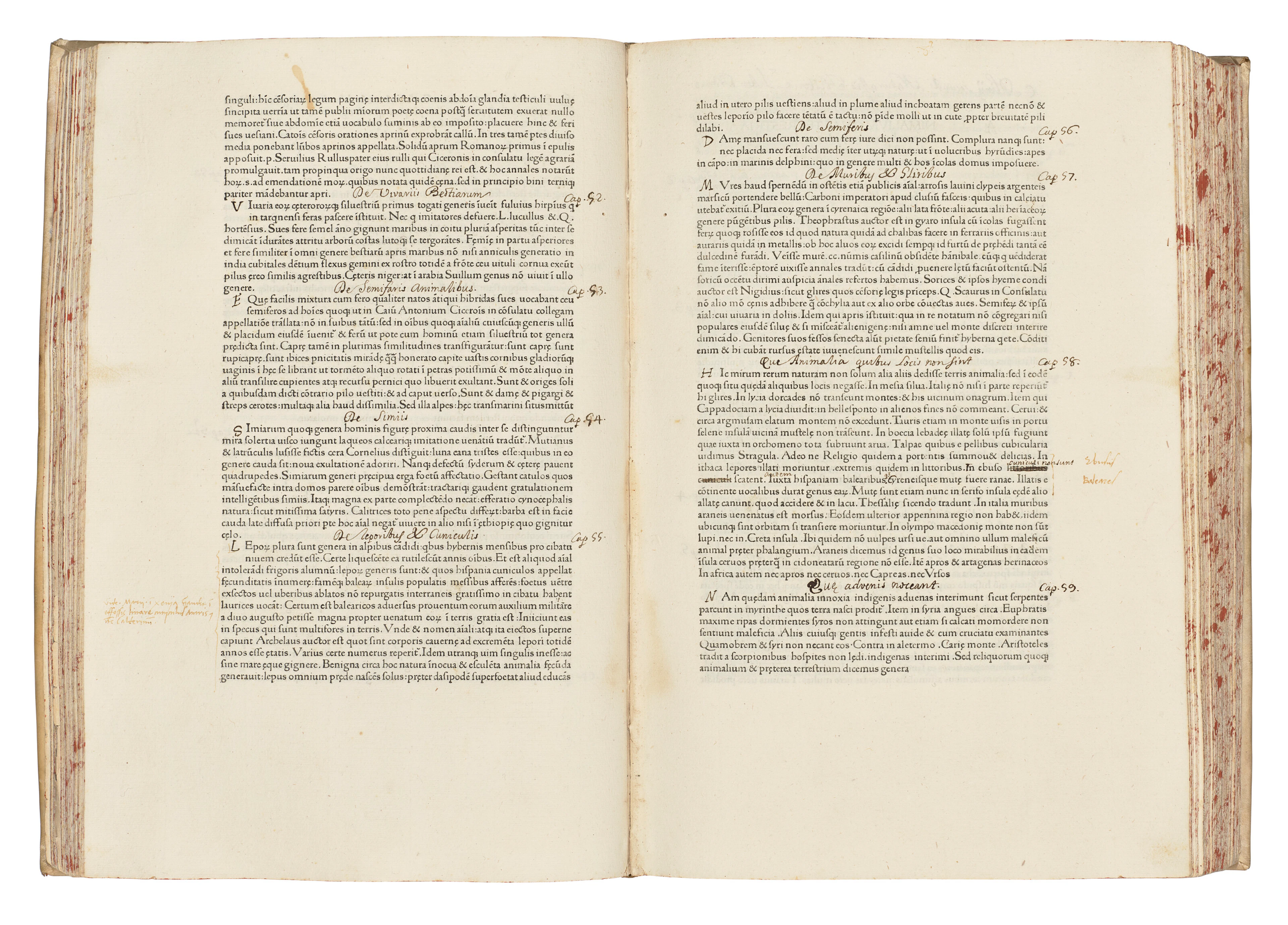 PLINIUS SECUNDUS, Gaius (Pliny the Elder, 23-79)