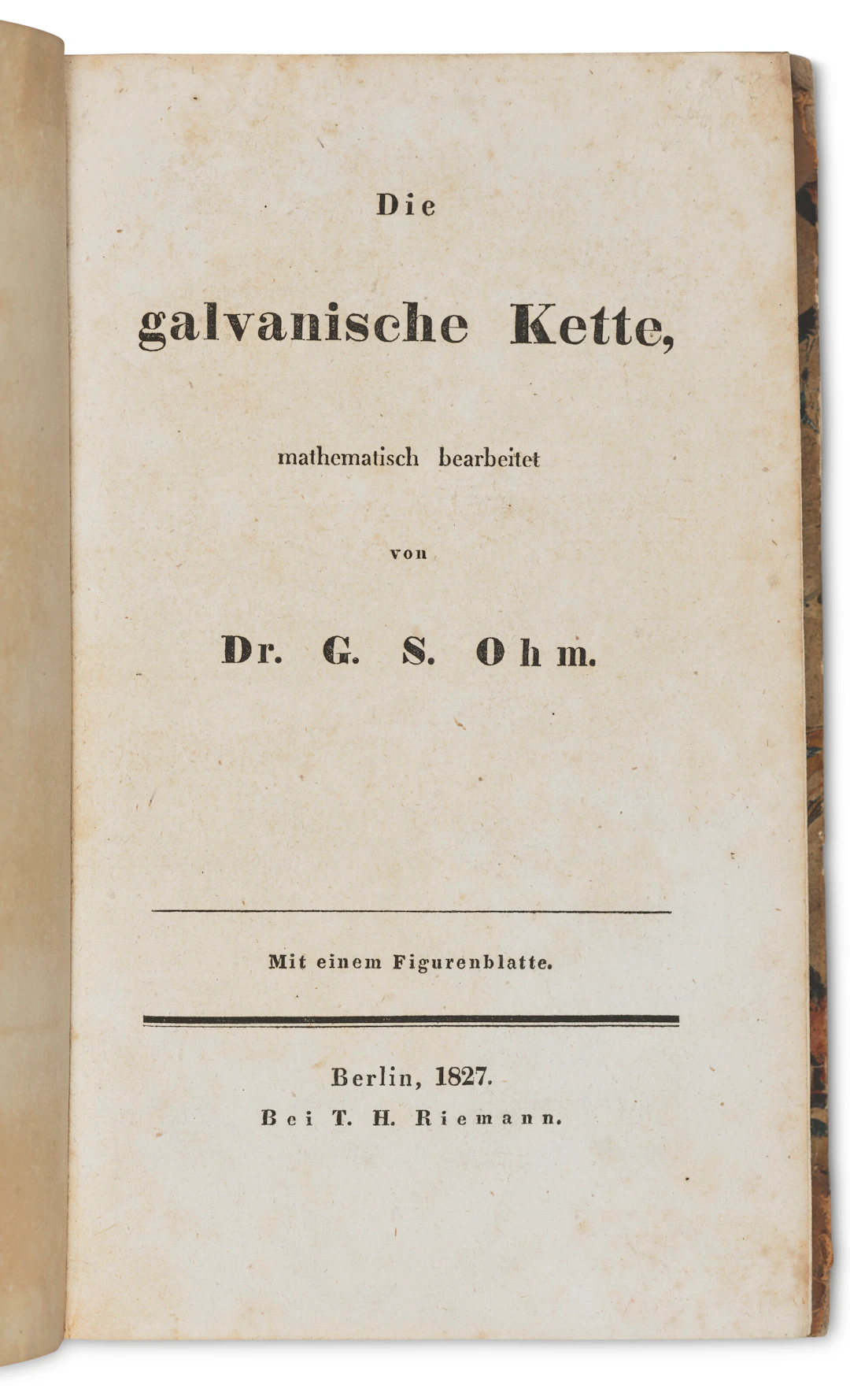 Die Galvanische Kette