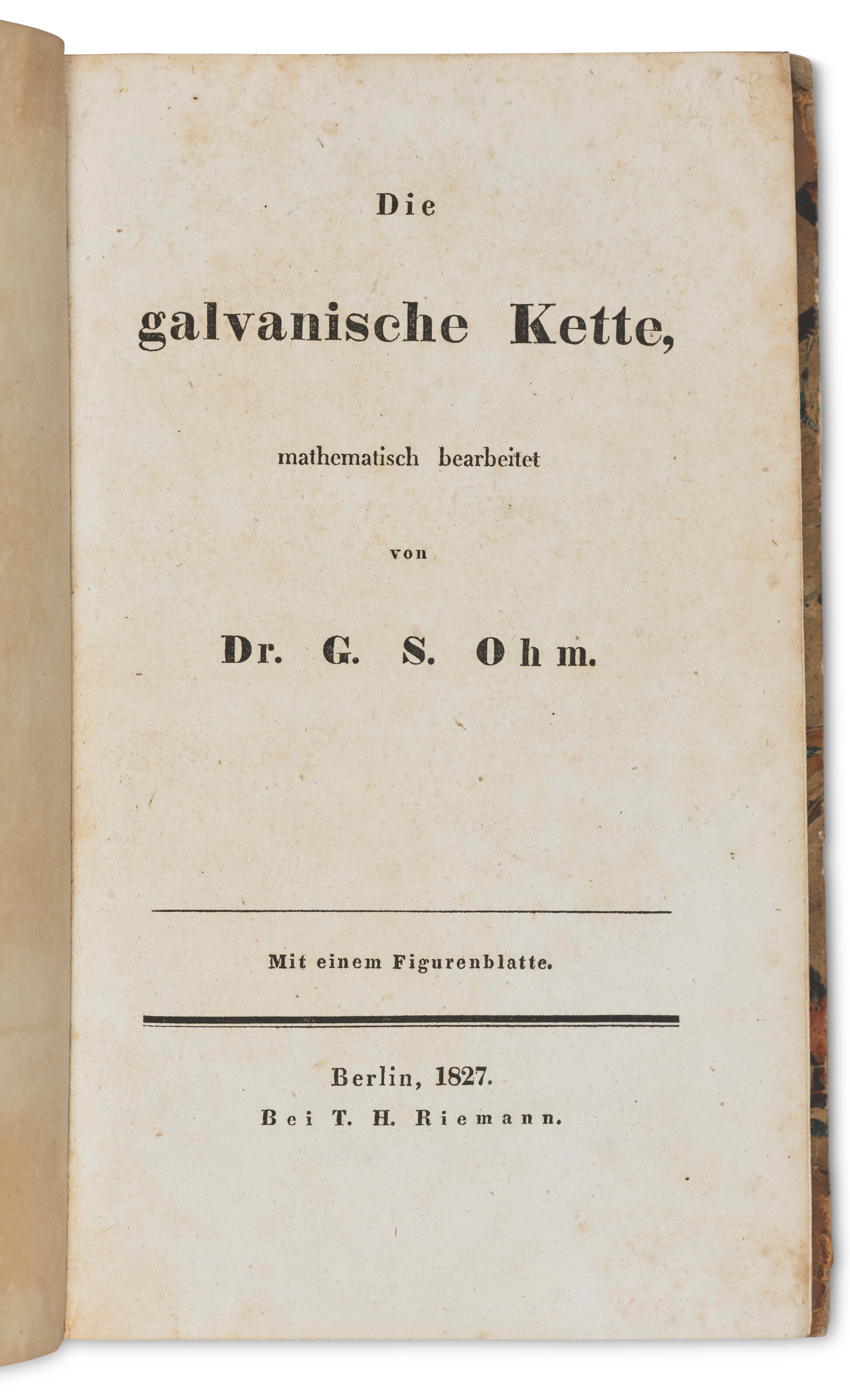 Die Galvanische Kette