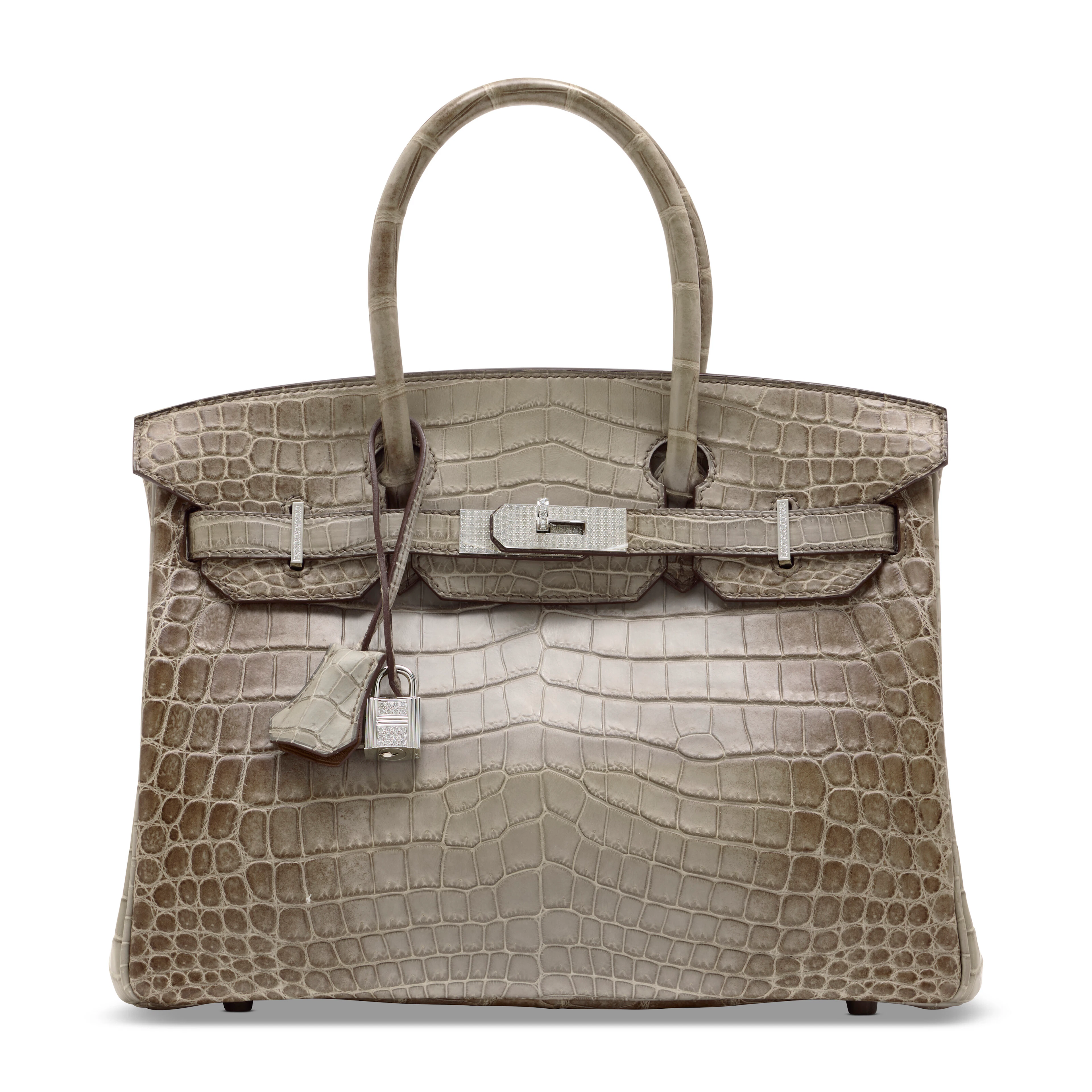 AN EXCEPTIONAL, MATTE GRIS CENDRÉ HIMALAYA NILOTICUS CROCODILE DIAMOND