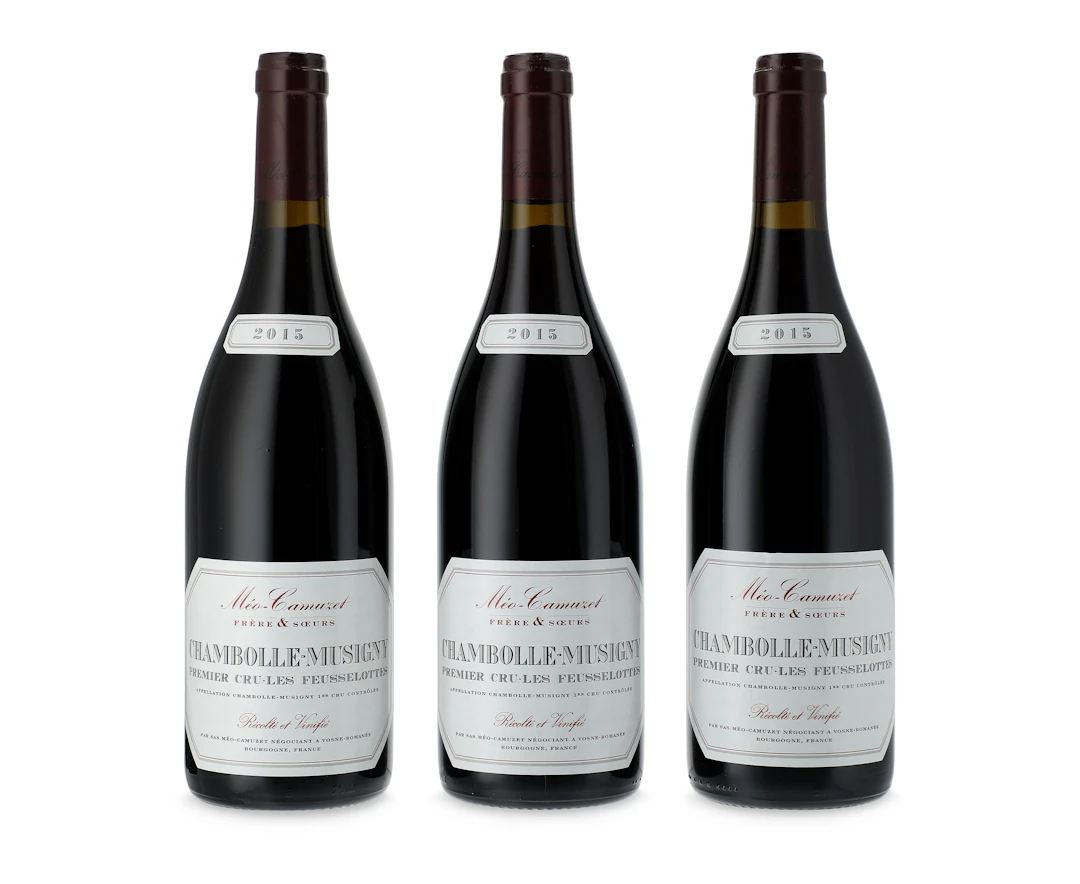 Mixed Meo Camuzet Frere Et Soeurs, Chambolle-Musigny, Les Feusselottes