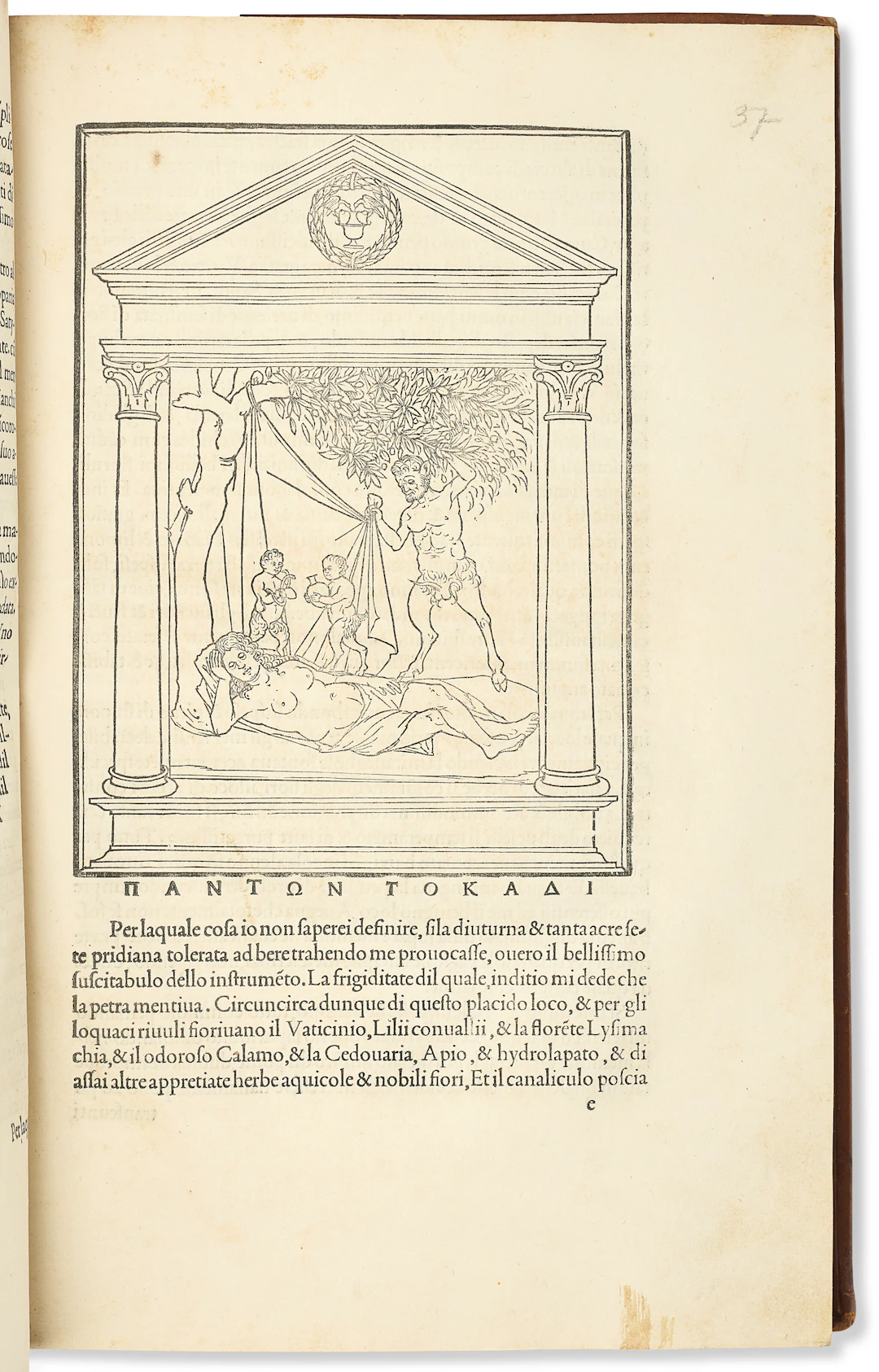 Colonna, Francesco (1433-1527)