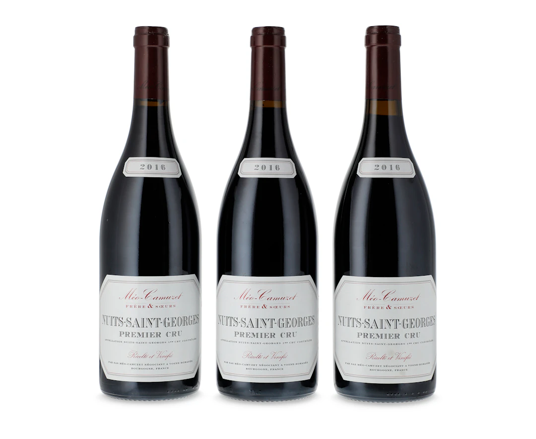 Meo Camuzet Frere Et Soeurs, Nuits-Saint-Georges Premier Cru 2016