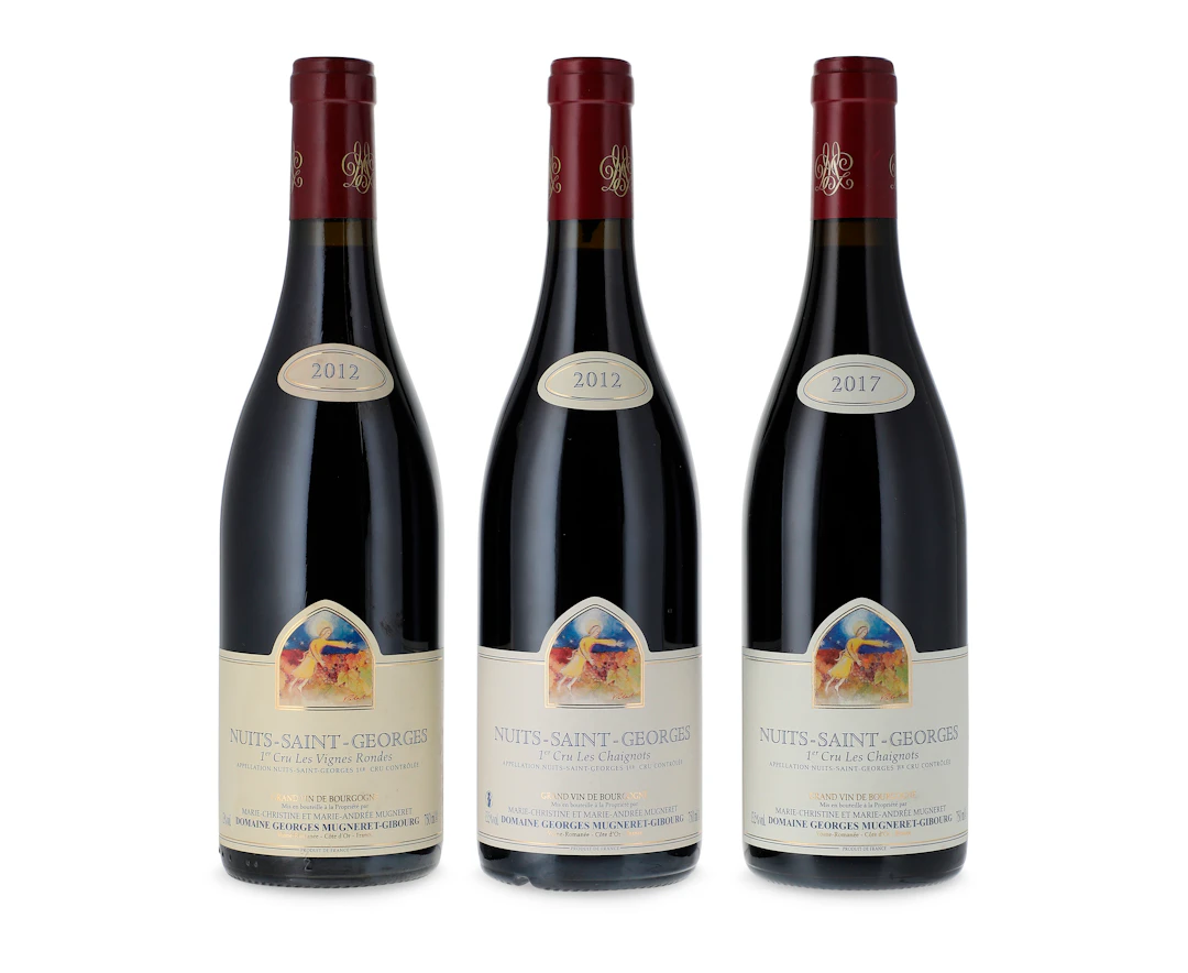 Mixed Domaine Georges Mugneret Gibourg, Nuits-Saint-Georges