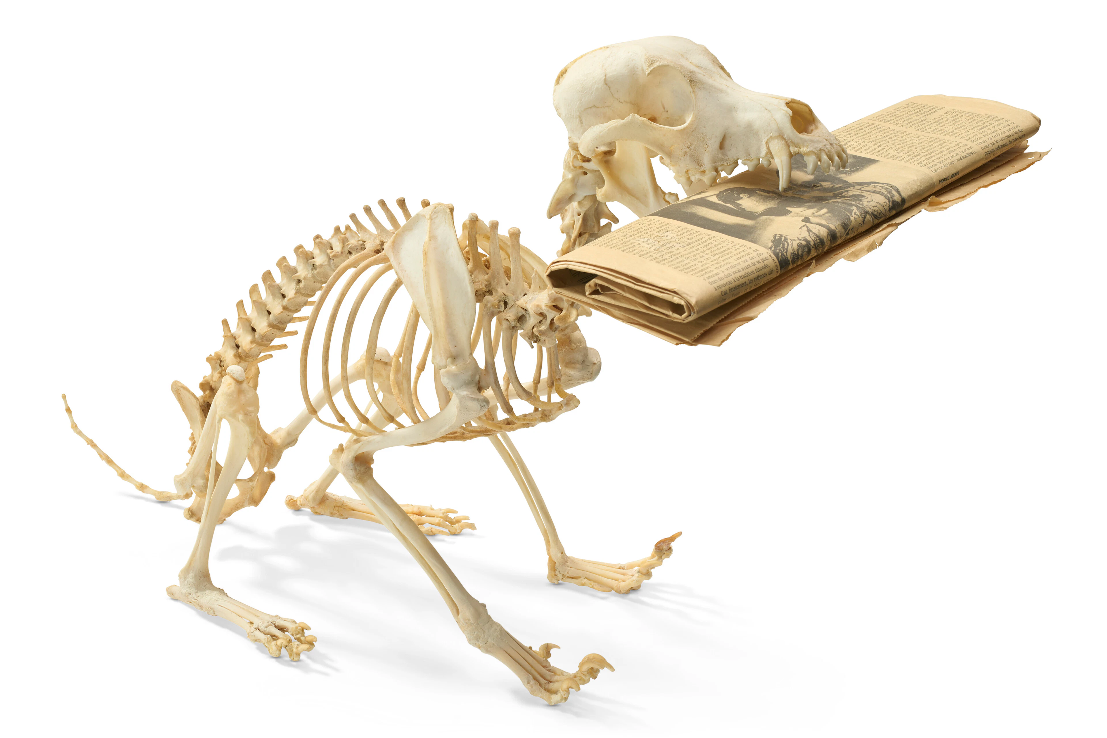 MAURIZIO CATTELAN (B. 1960)