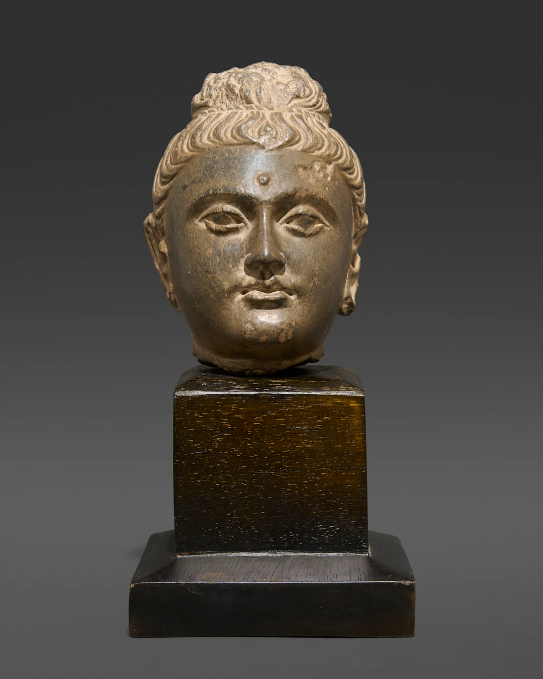 A Grey Schist Head of Buddha