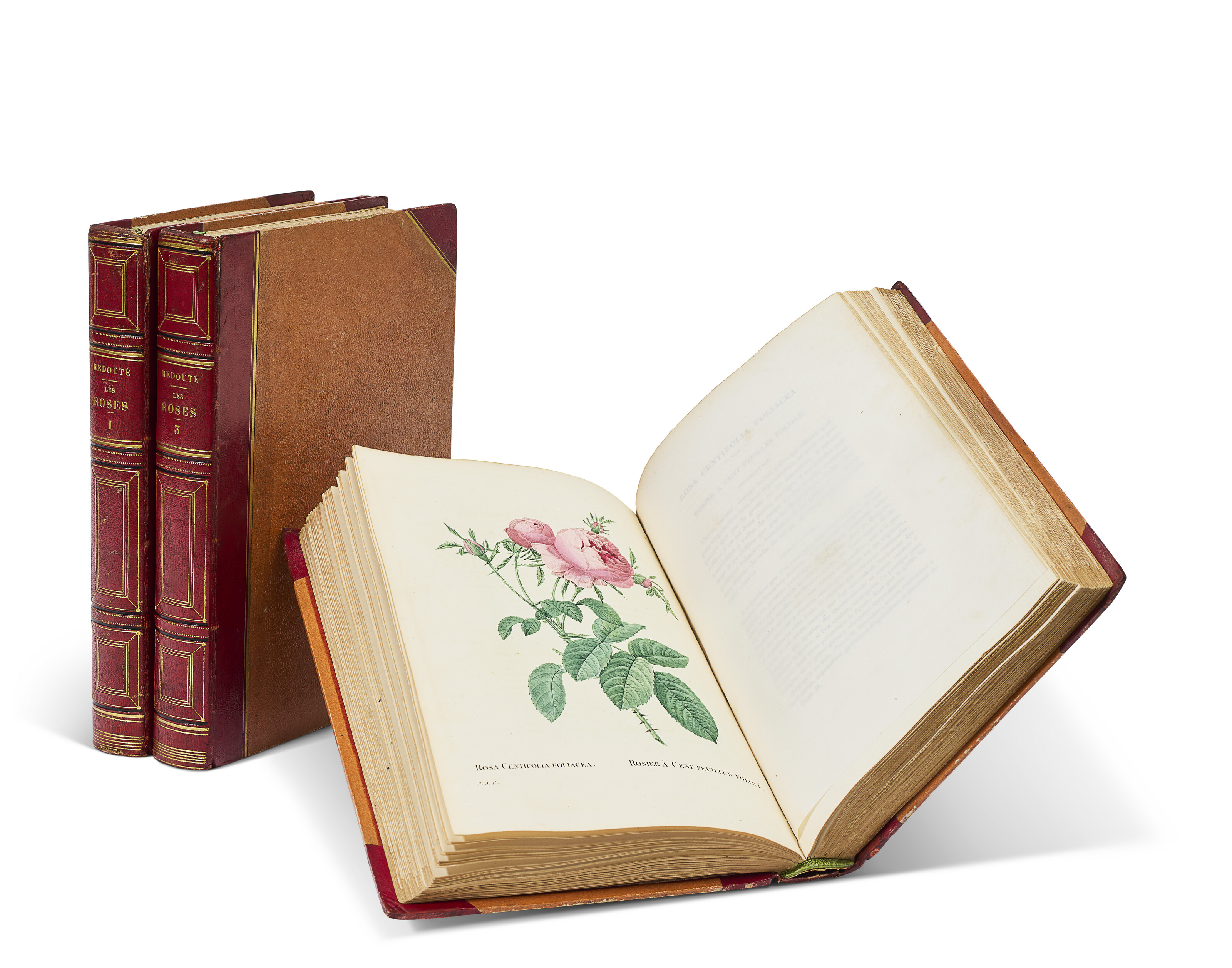 Redouté, Pierre-Joseph (1759-1840) Et Claude-Antoine Thory (1759-1827)