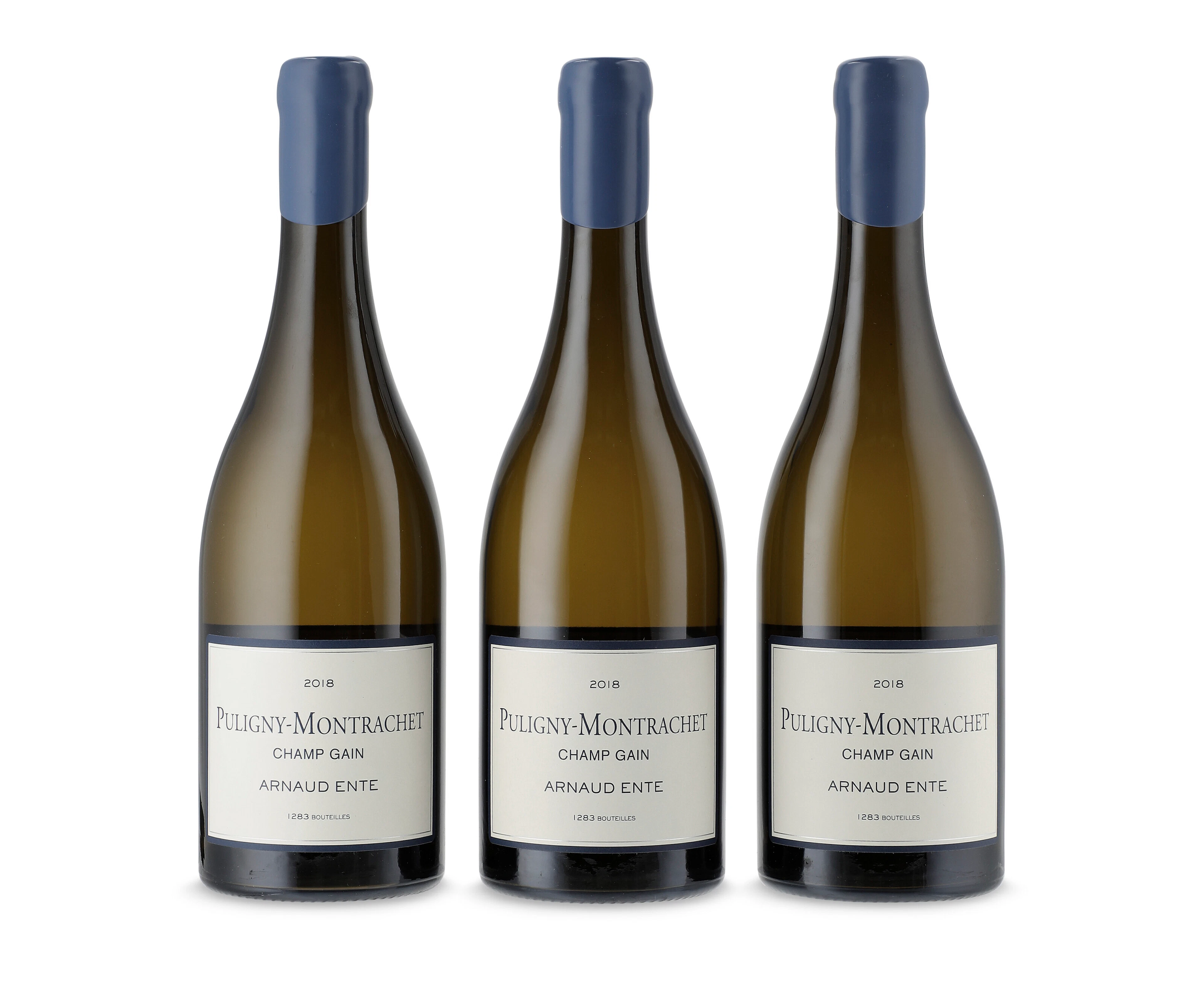 Arnaud Ente, Puligny-Montrachet, Champ Gain 2018
