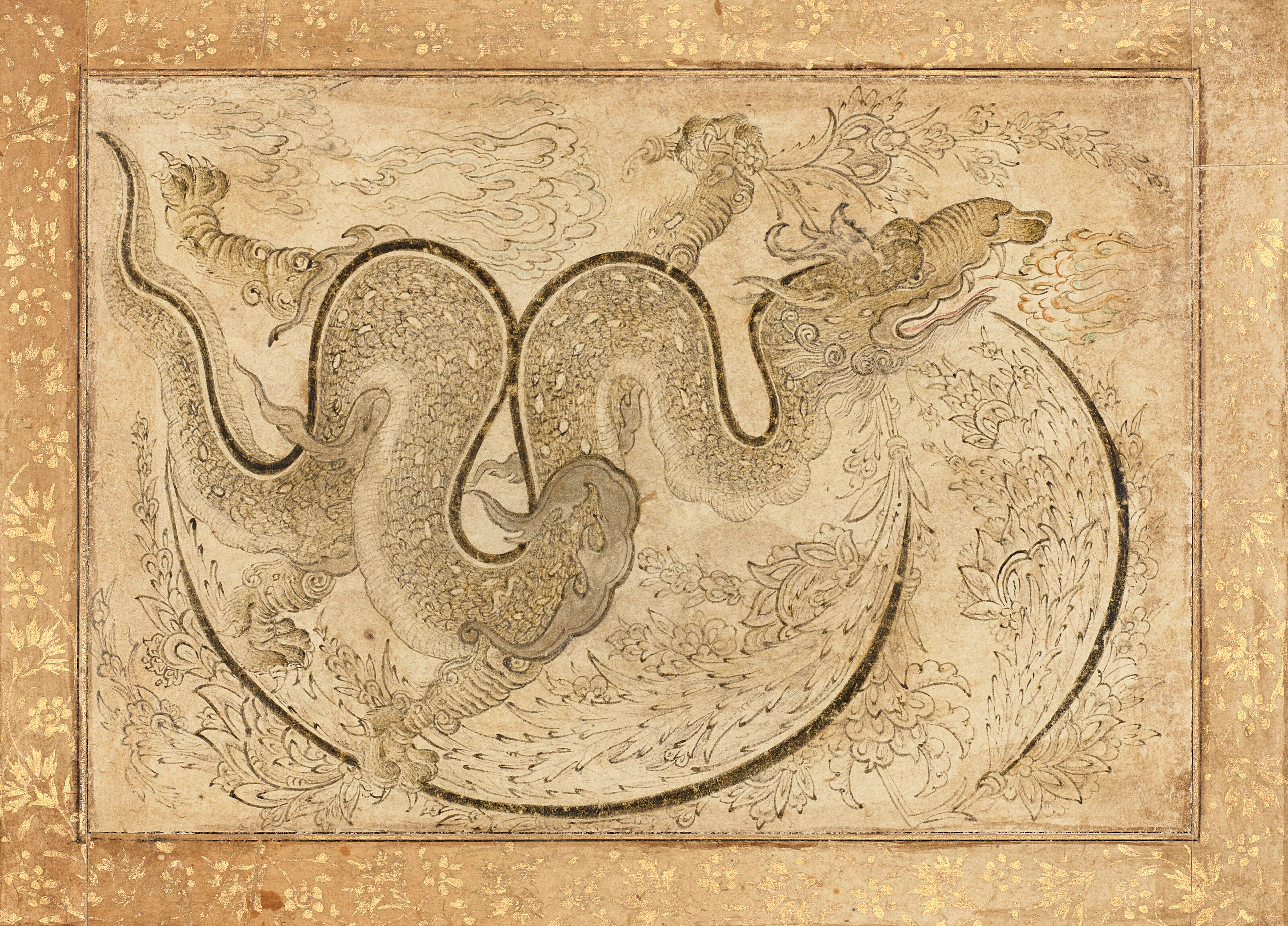 STUDY OF A DRAGON