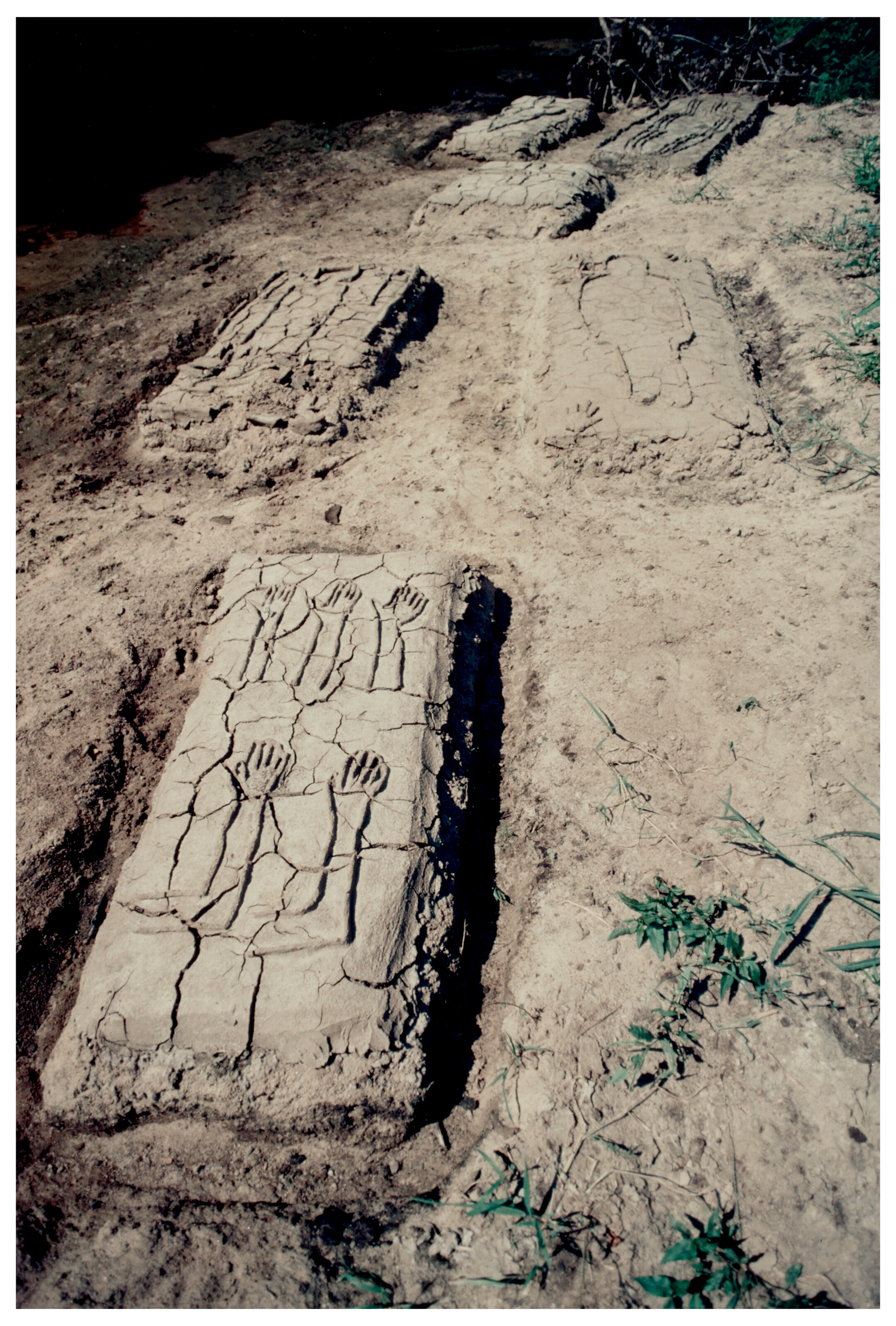 ANA MENDIETA (1948-1985)