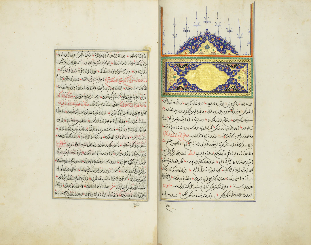 Mehmed Camizade Known as Kelami-I Rumi: Vekayi-I 'Ali Pasha (Events
