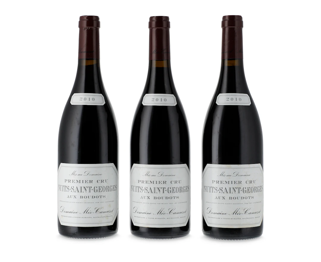 Domaine Méo Camuzet, Nuits-Saint-Georges, Aux Boudots 2010