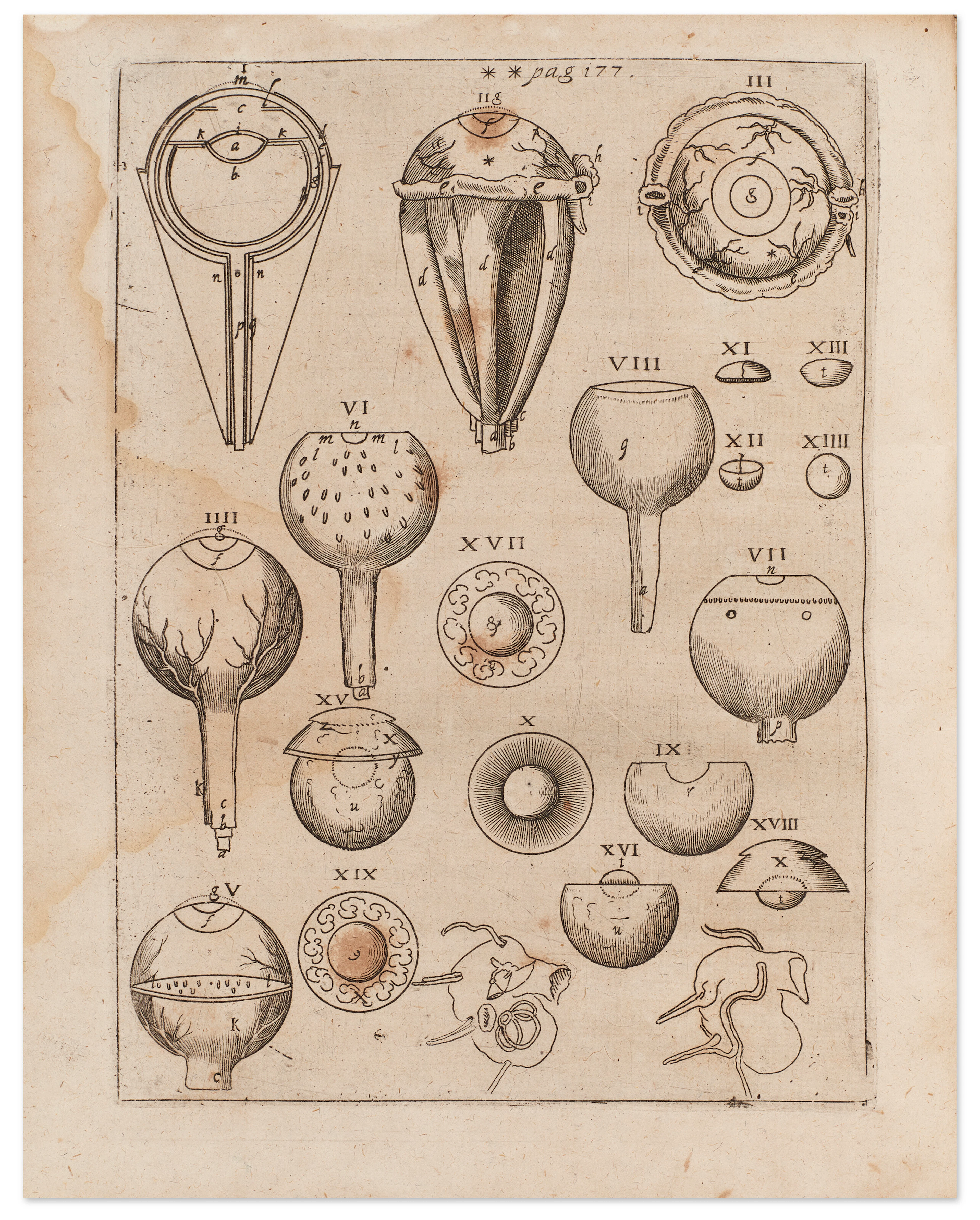 Ad Vitellionem Paralipomena, Quibus Astronomiae Pars Optica Traditur