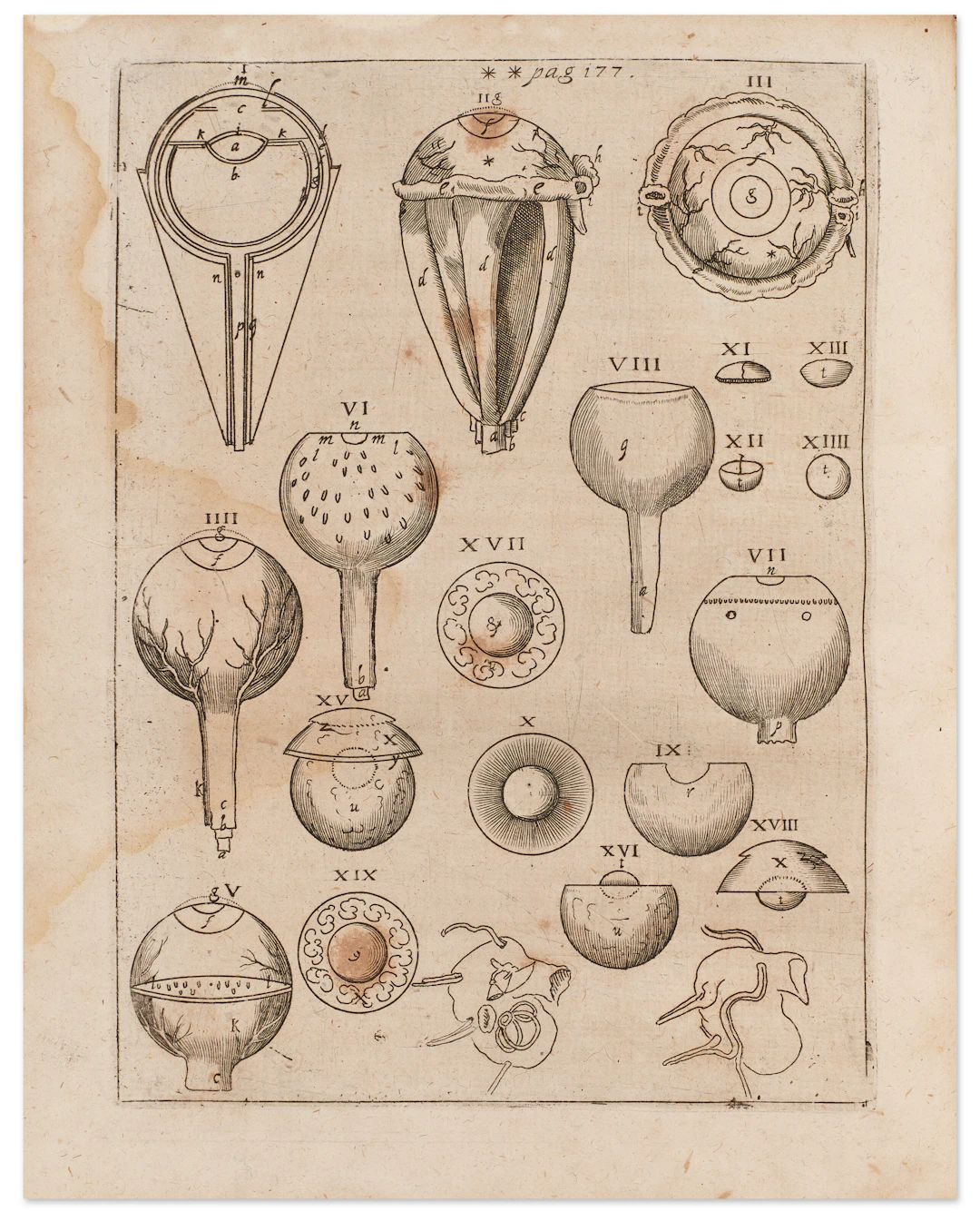 Ad Vitellionem Paralipomena, Quibus Astronomiae Pars Optica Traditur