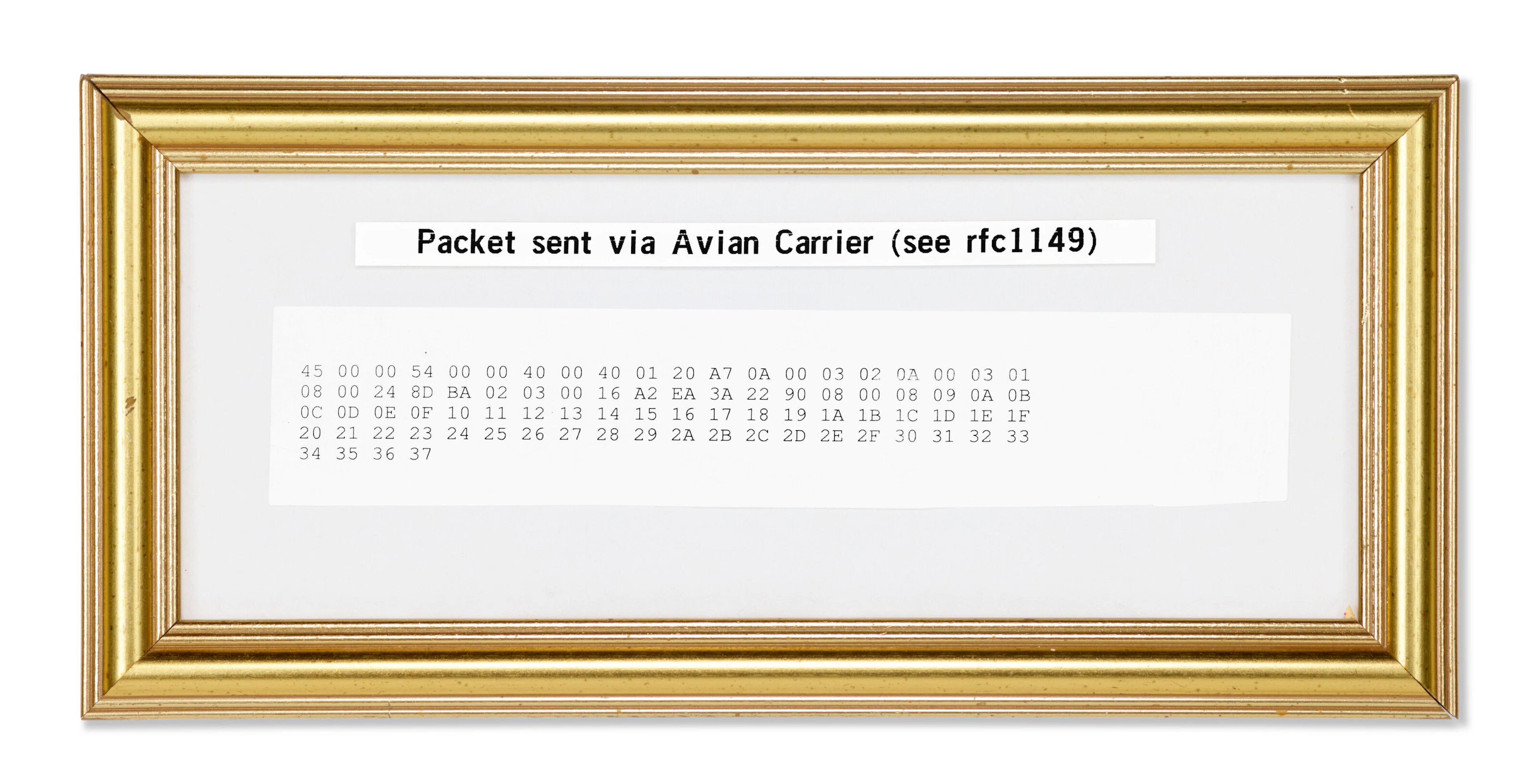 Carrier Pigeon Internet Protocol