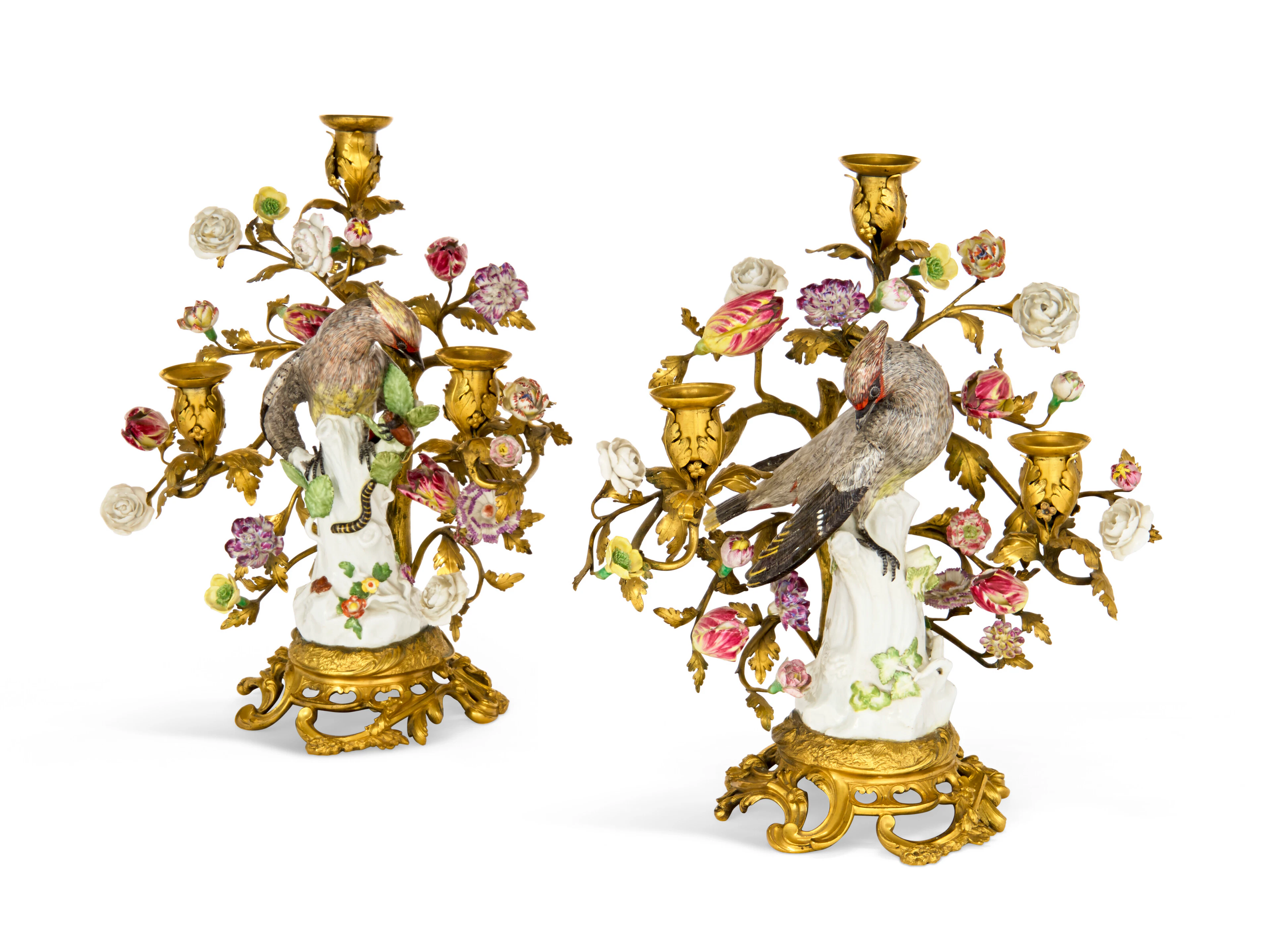 A Pair of Louis Xv Ormolu-Mounted Meissen Porcelain Models of Waxwings