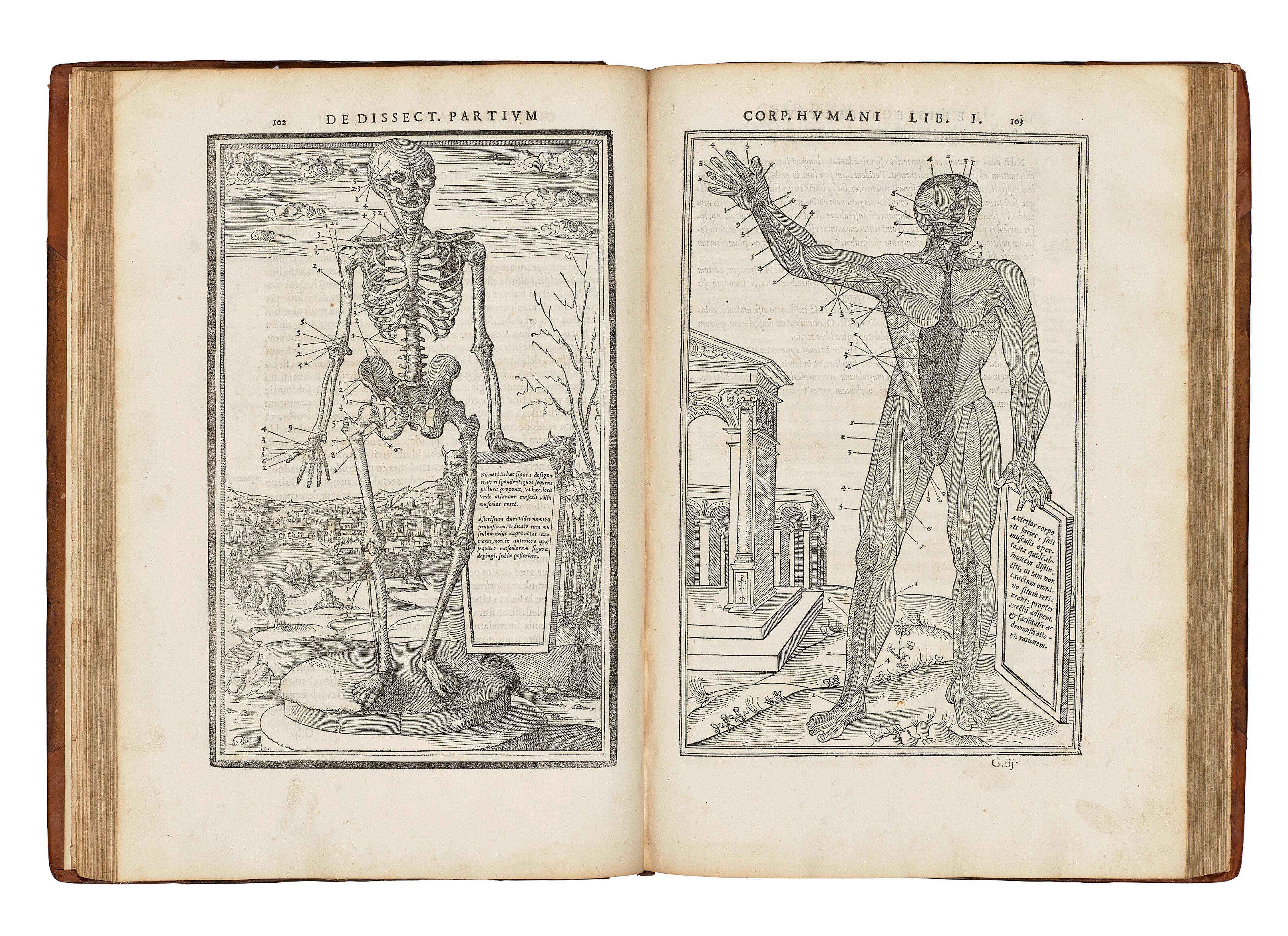 ESTIENNE, Charles (1504-c.1564)