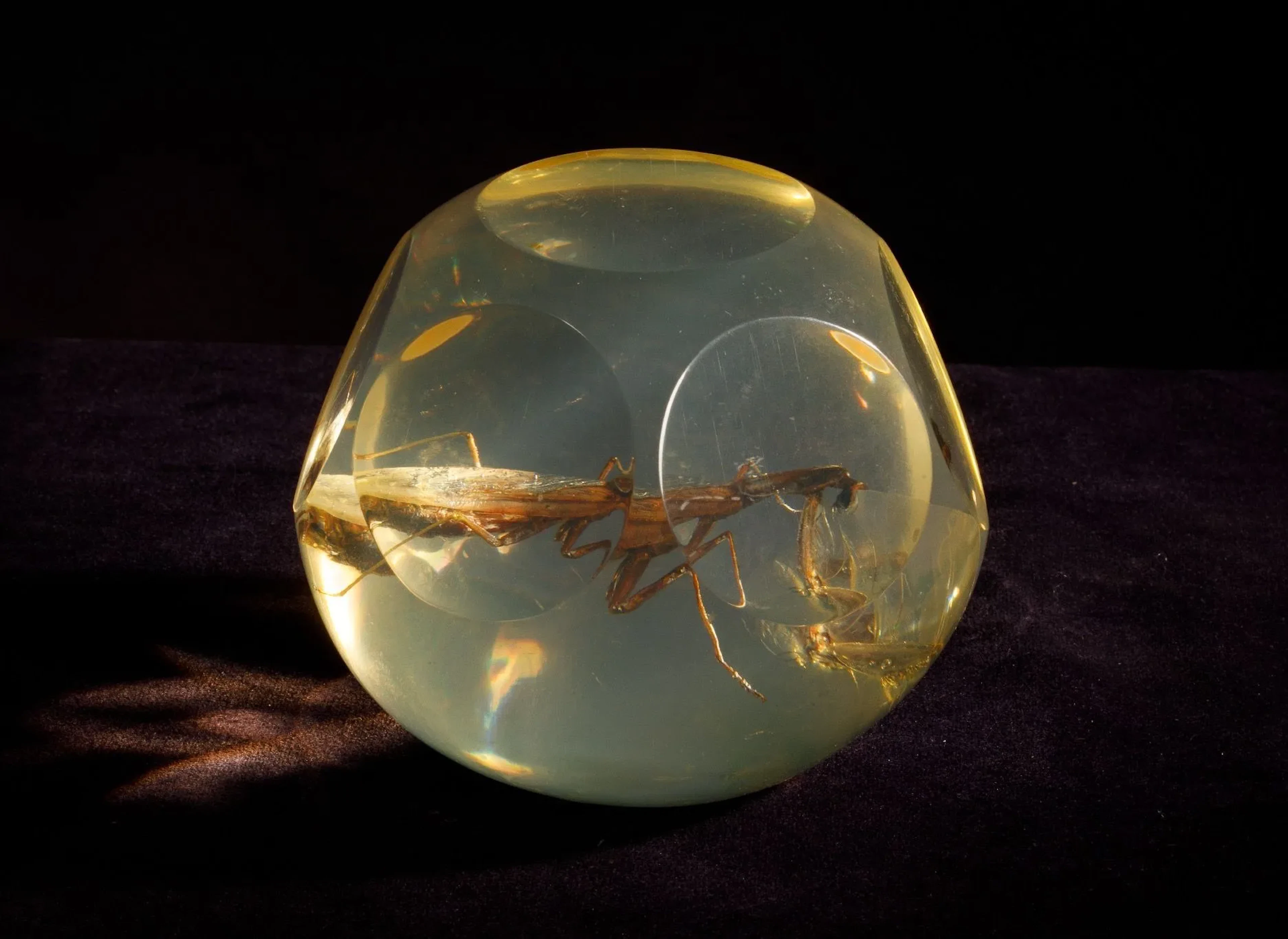 [ARTIFICIALIA] - Lot 194