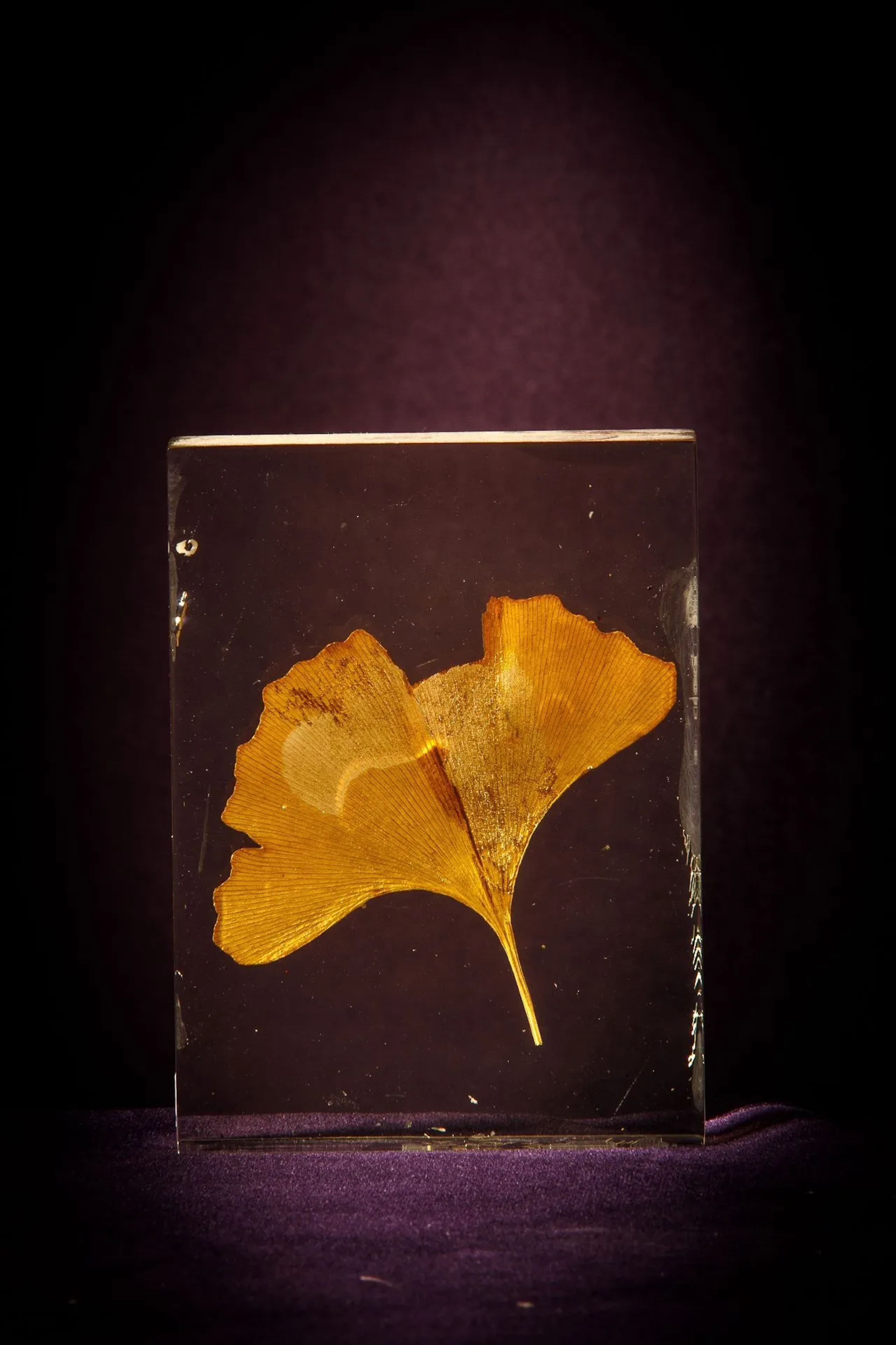 [ARTIFICIALIA] - Lot 176