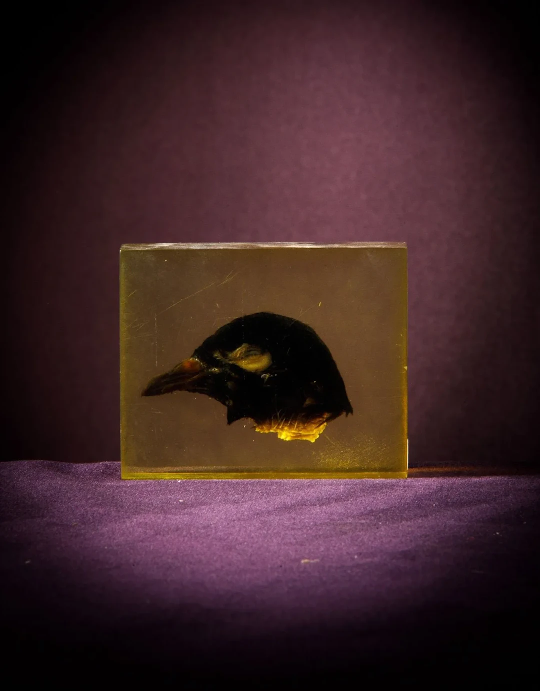 [ARTIFICIALIA] - Lot 241