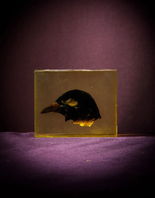 [ARTIFICIALIA] - Lot 241