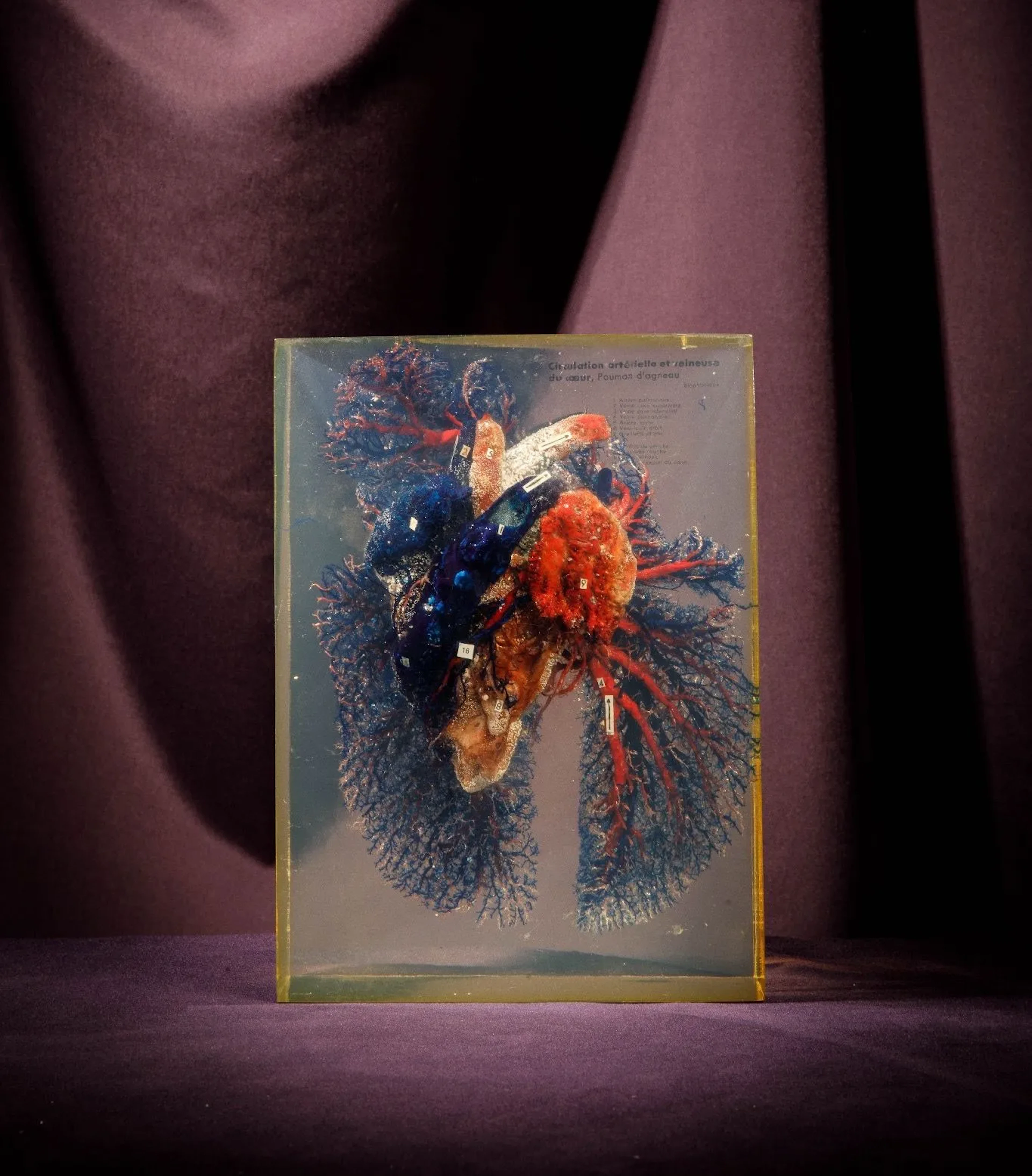 [ARTIFICIALIA] - Lot 237