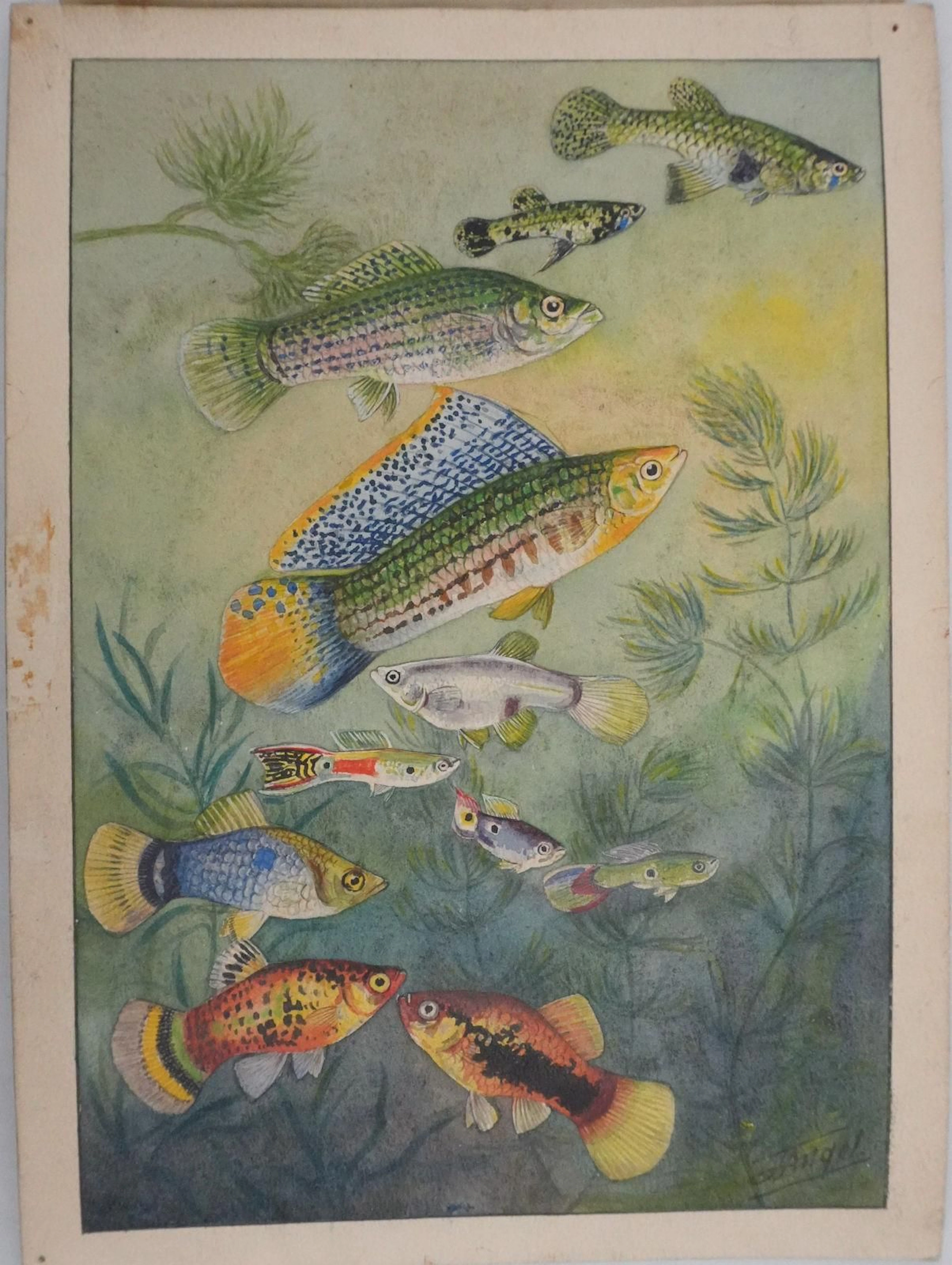 Fernand ANGEL (1881–1950) - Lot 3