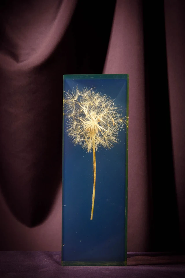 [ARTIFICIALIA] - Lot 177