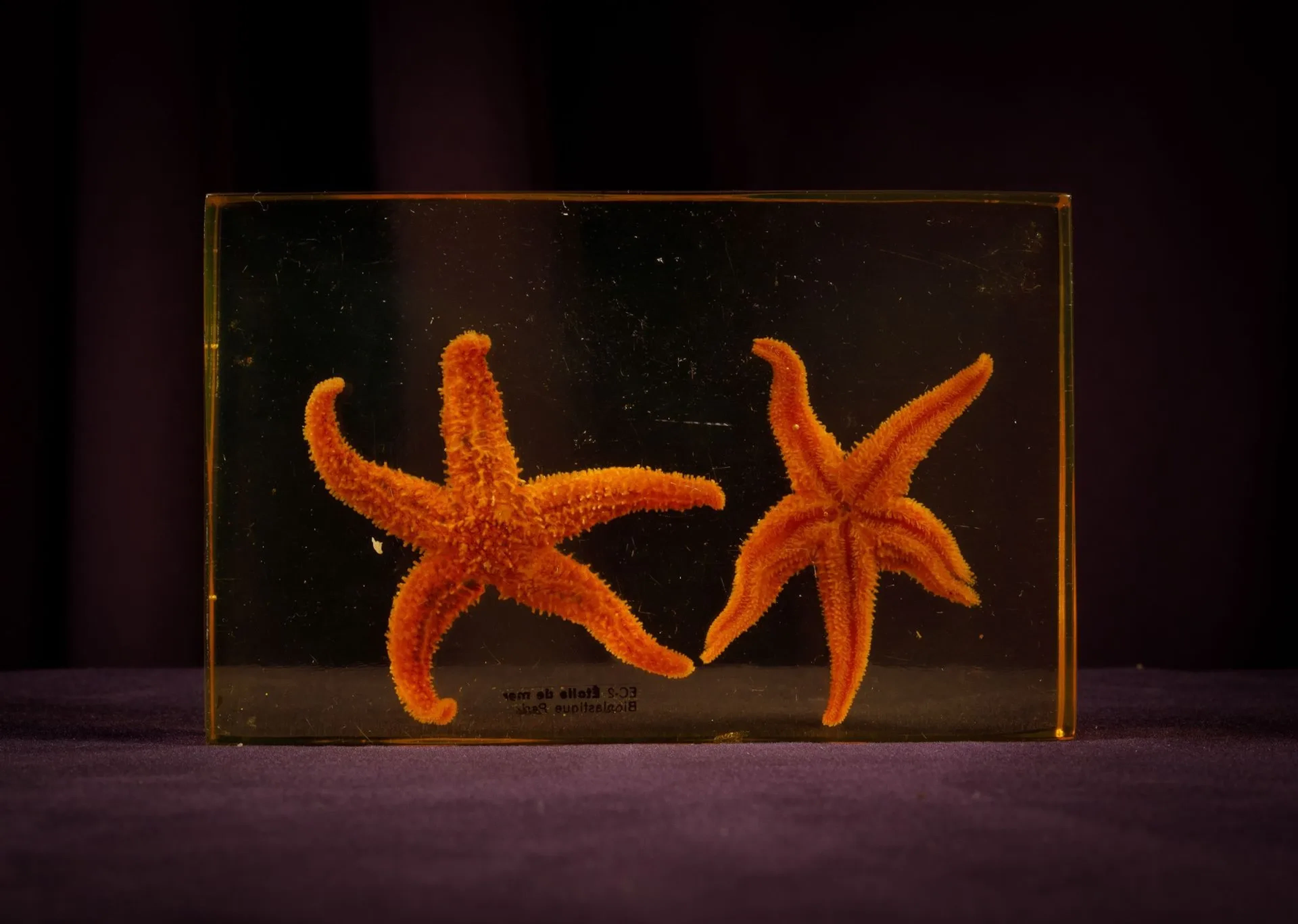[ARTIFICIALIA] - Lot 130