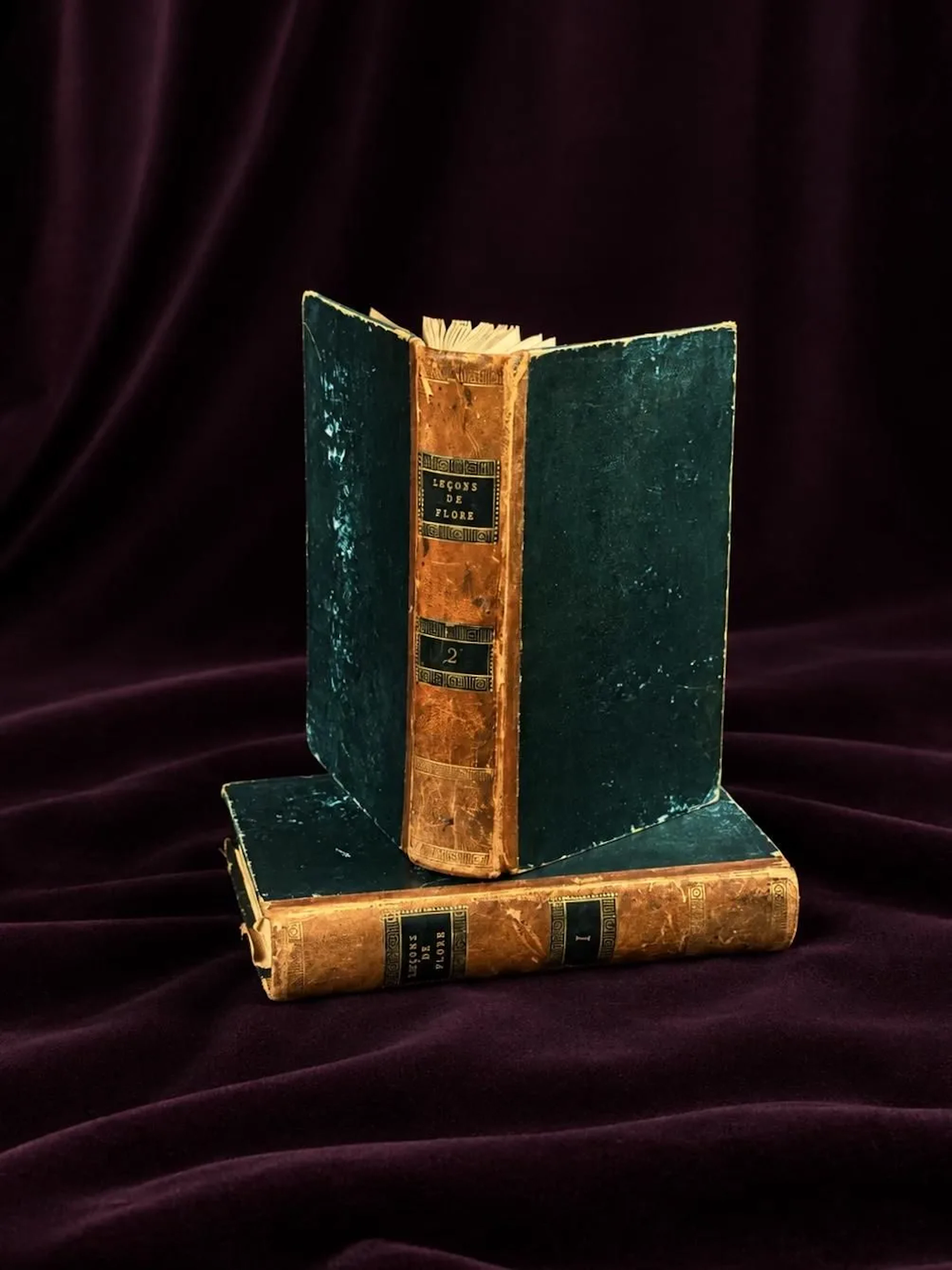[ARTIFICIALIA] - Lot 55