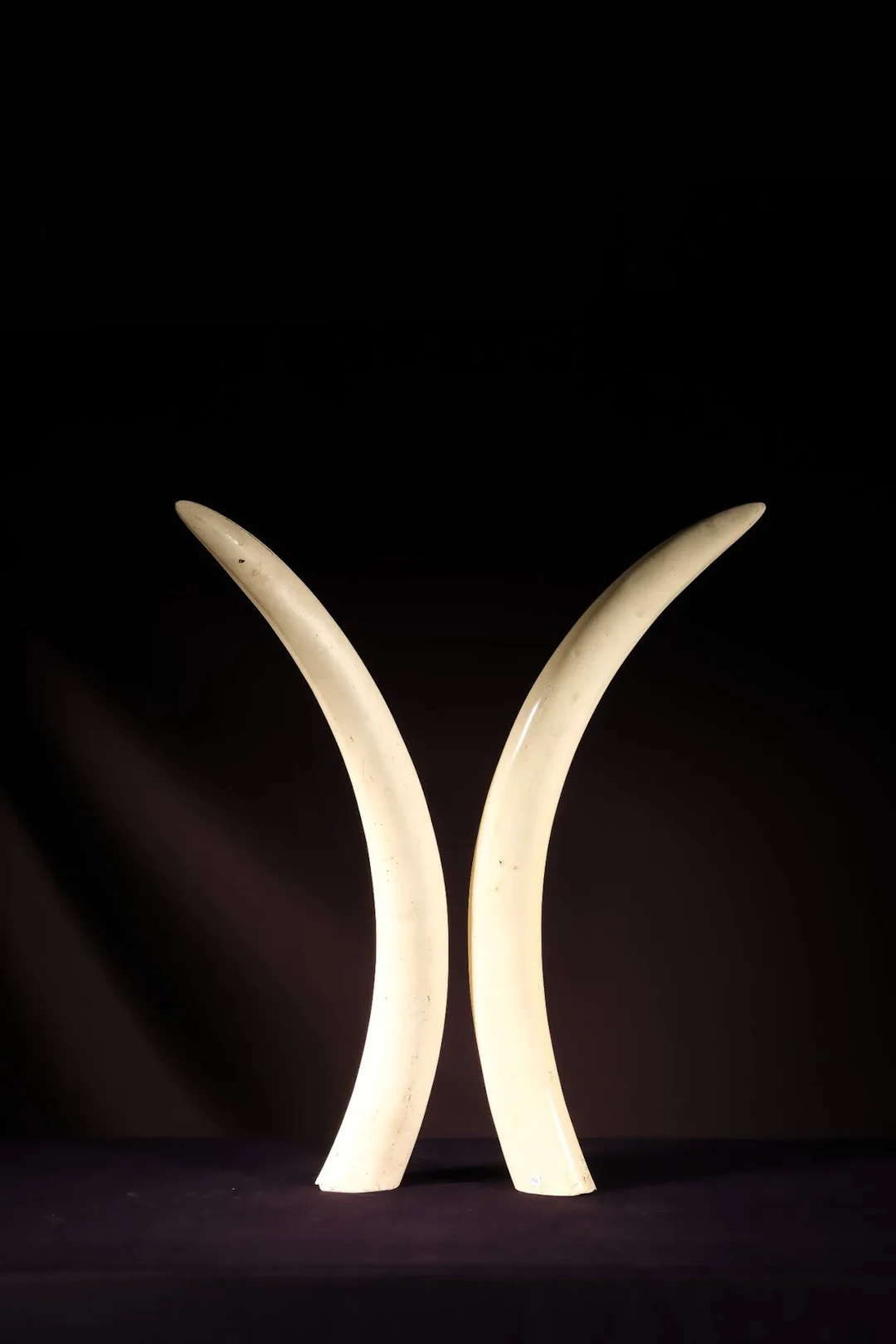 [ARTIFICIALIA] - Lot 252