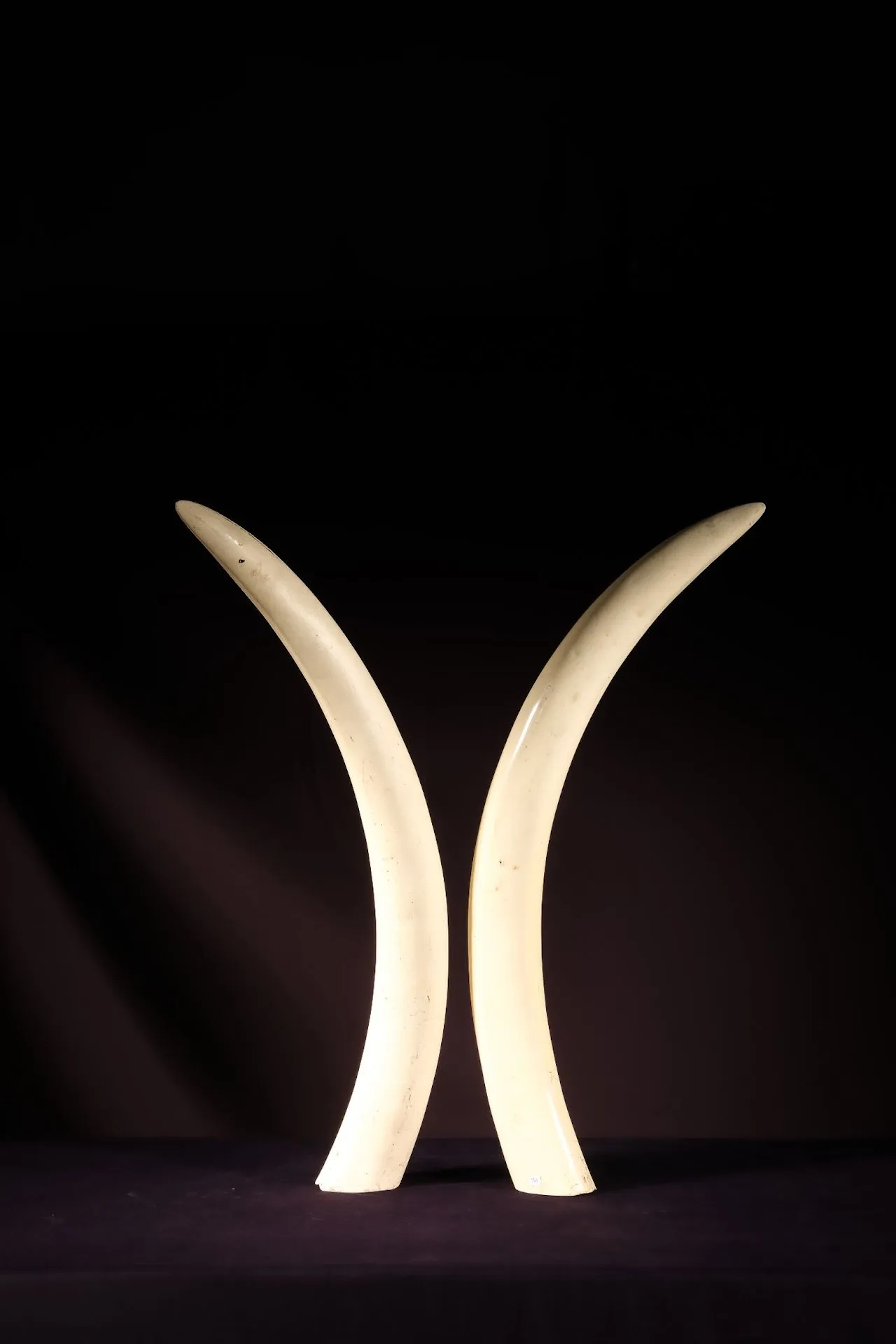 [ARTIFICIALIA] - Lot 252