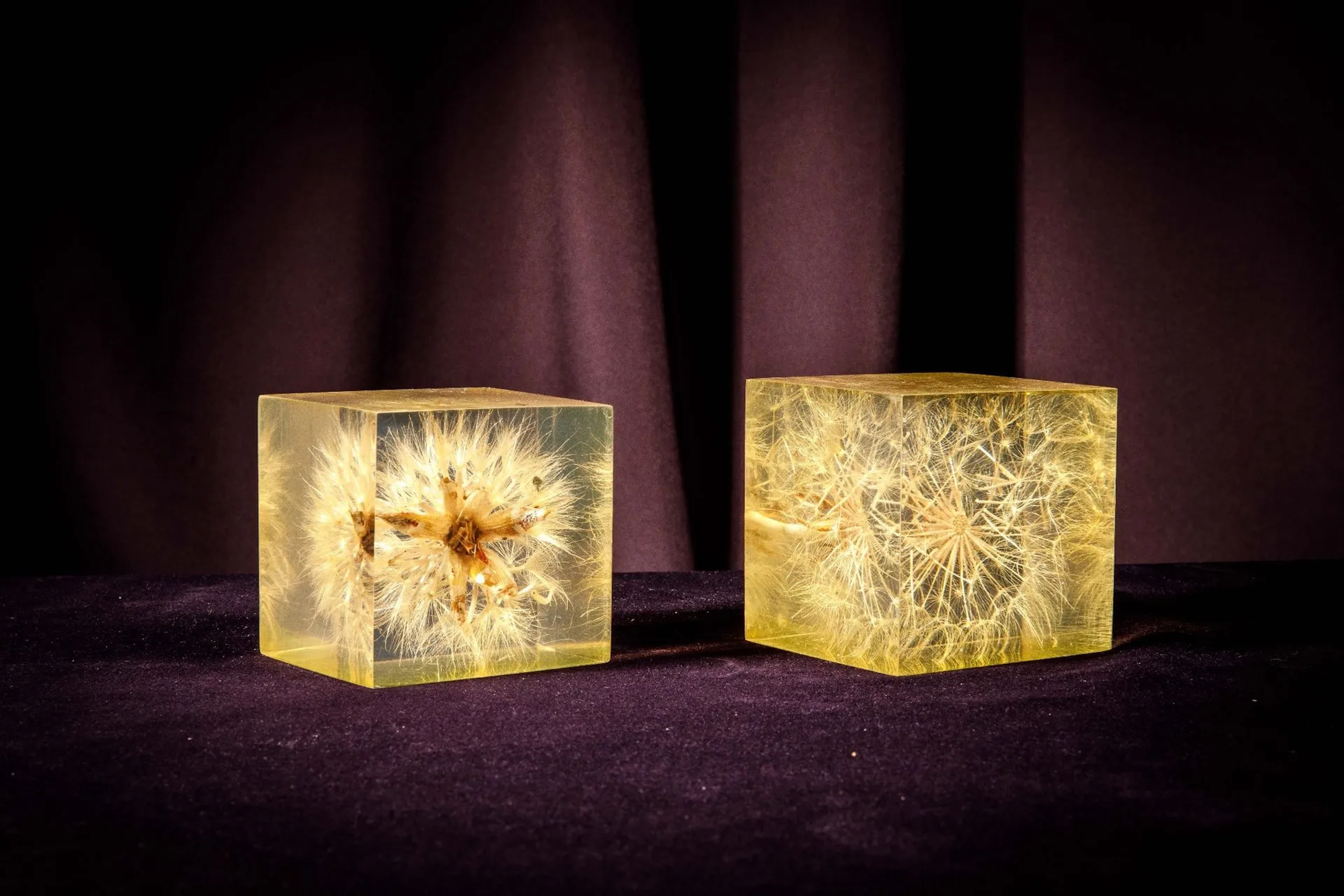 [ARTIFICIALIA] - Lot 210