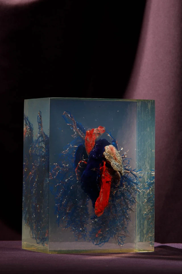 [ARTIFICIALIA] - Lot 239