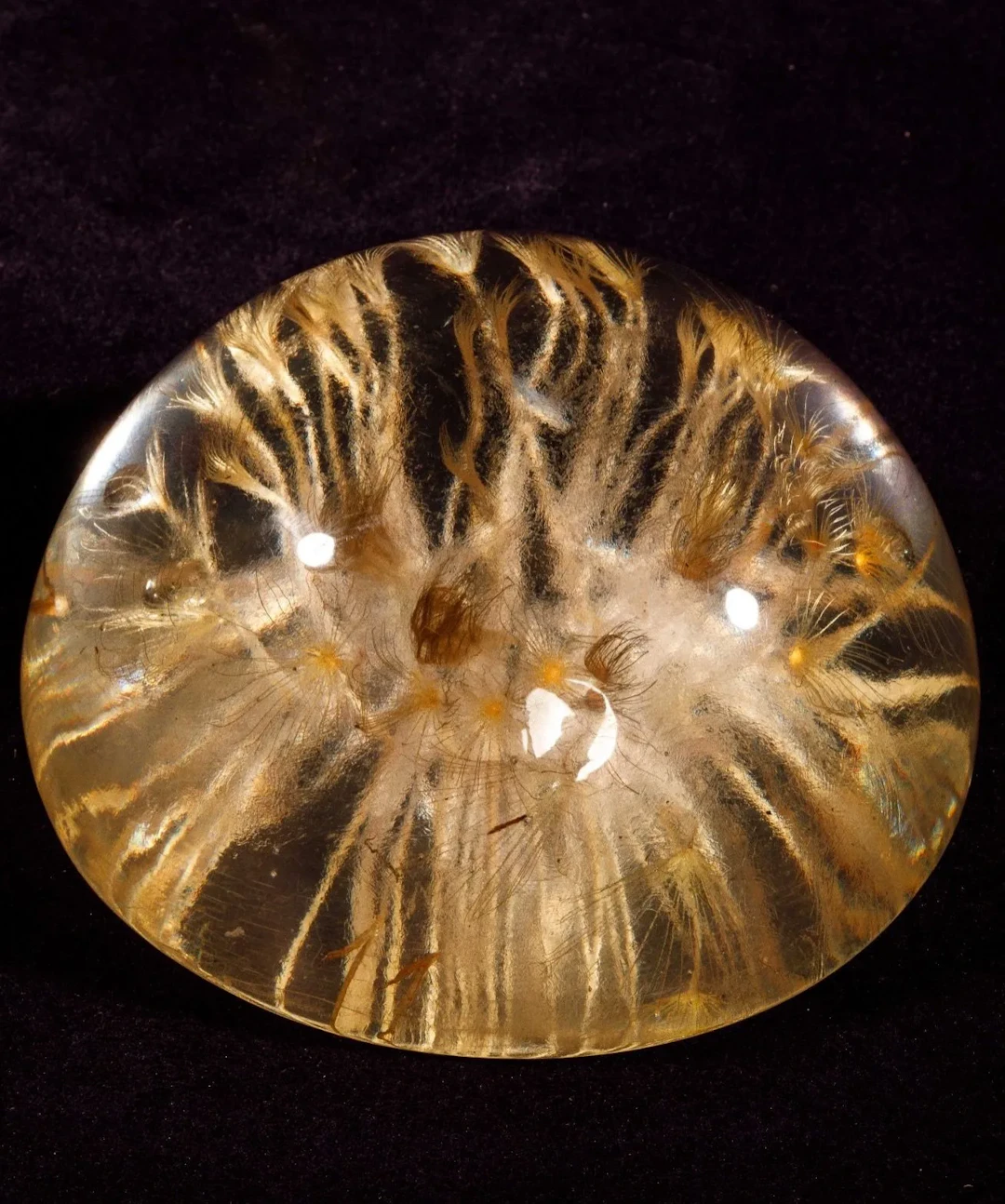 [ARTIFICIALIA] - Lot 213