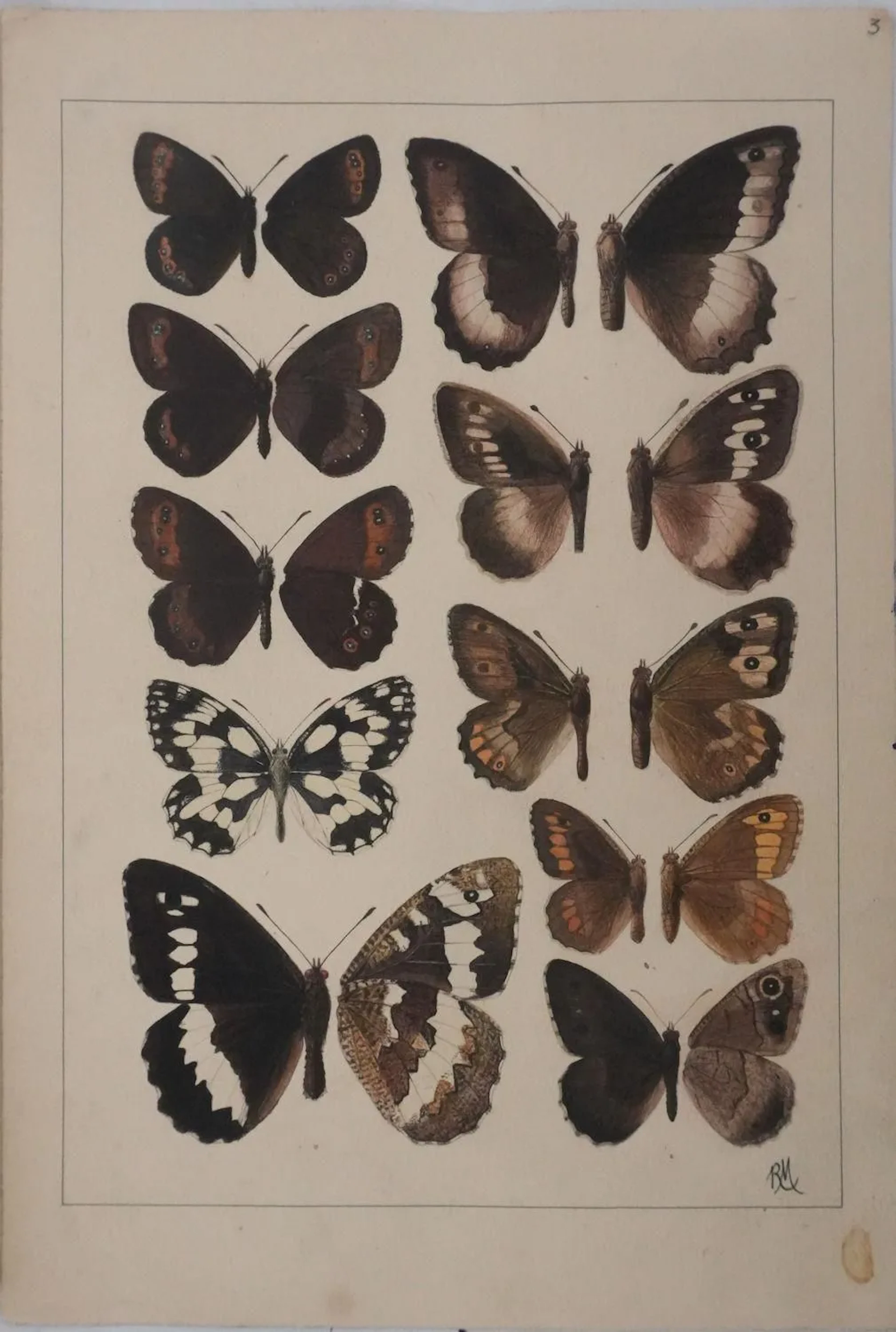 Roger METAYE (1921-2006) - Lot 361