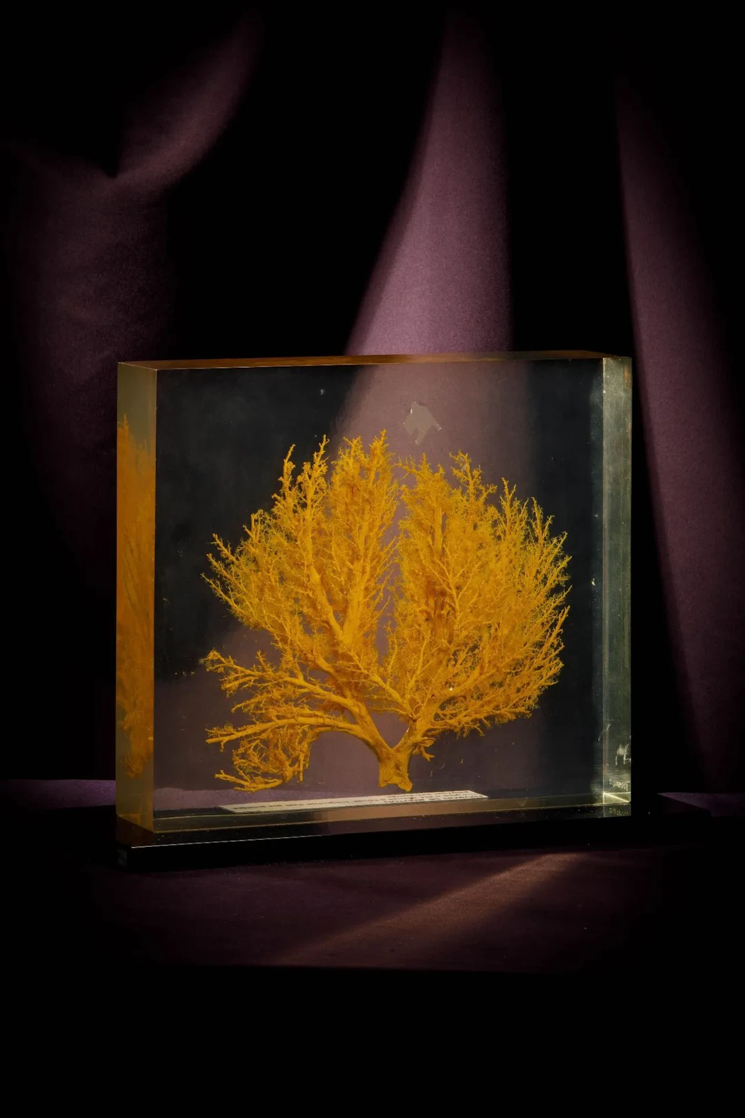 [ARTIFICIALIA] - Lot 250