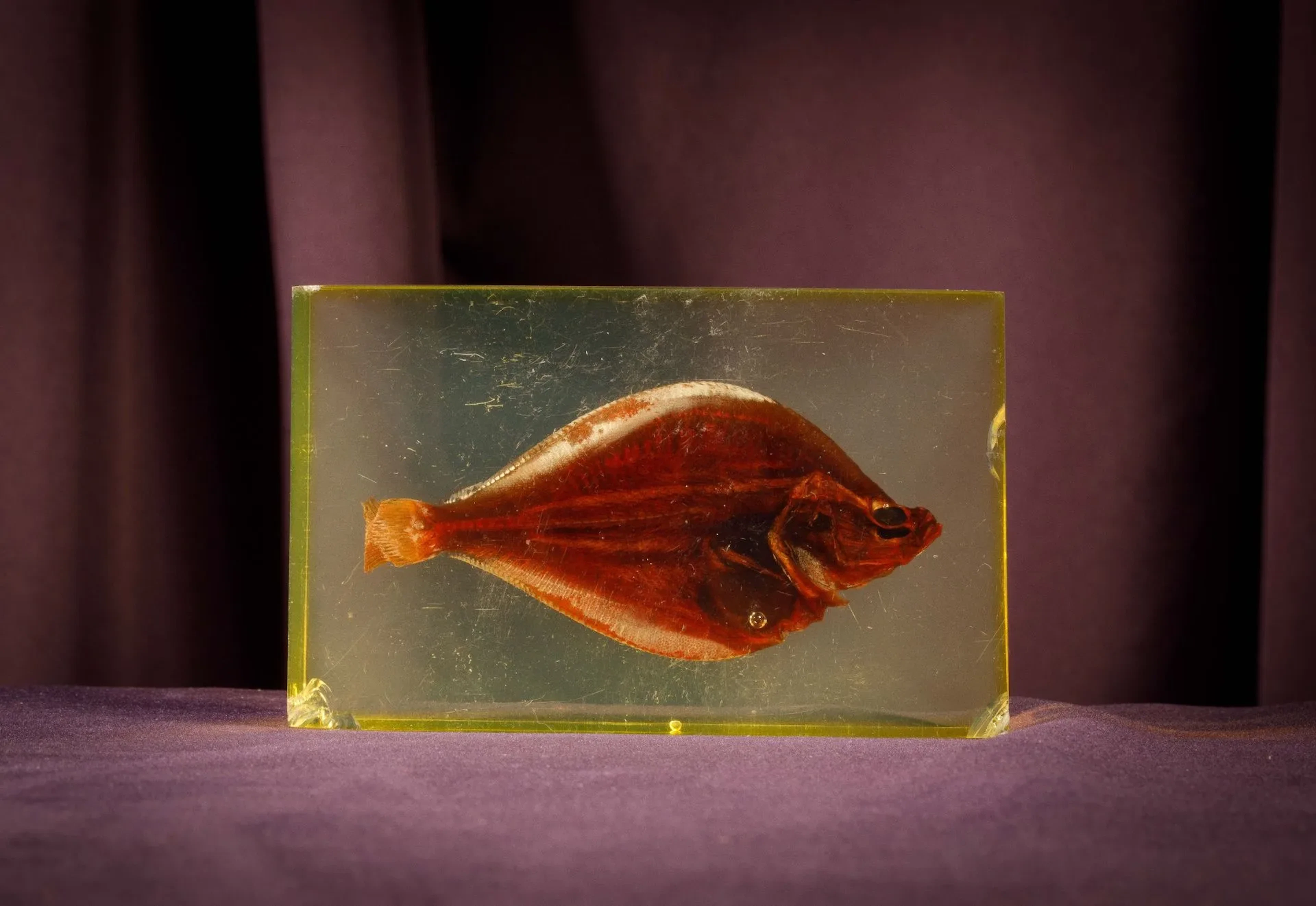 [ARTIFICIALIA] - Lot 143