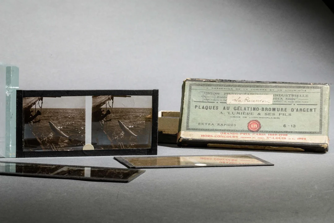 Gelatin-silver bromide plates featuring La Réunion - Lot 36
