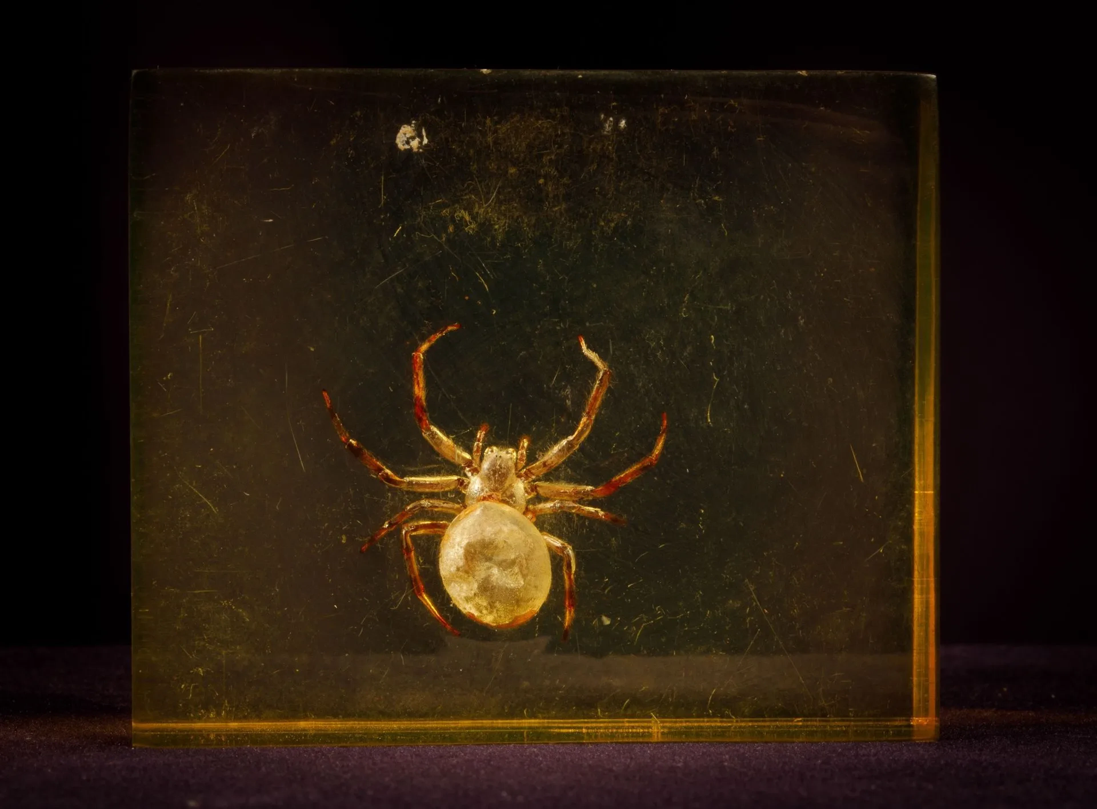 [ARTIFICIALIA] - Lot 209