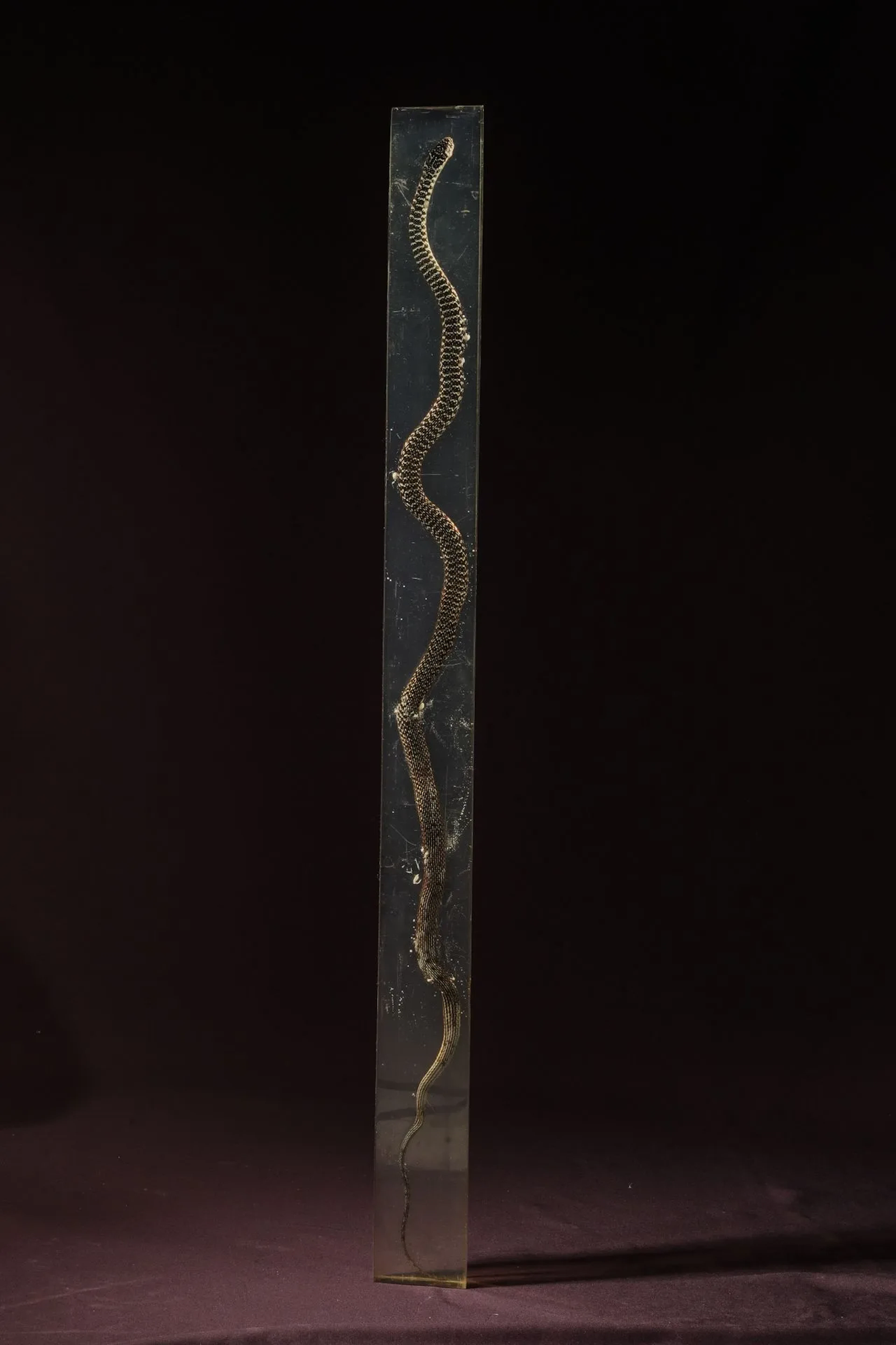 [ARTIFICIALIA] - Lot 214